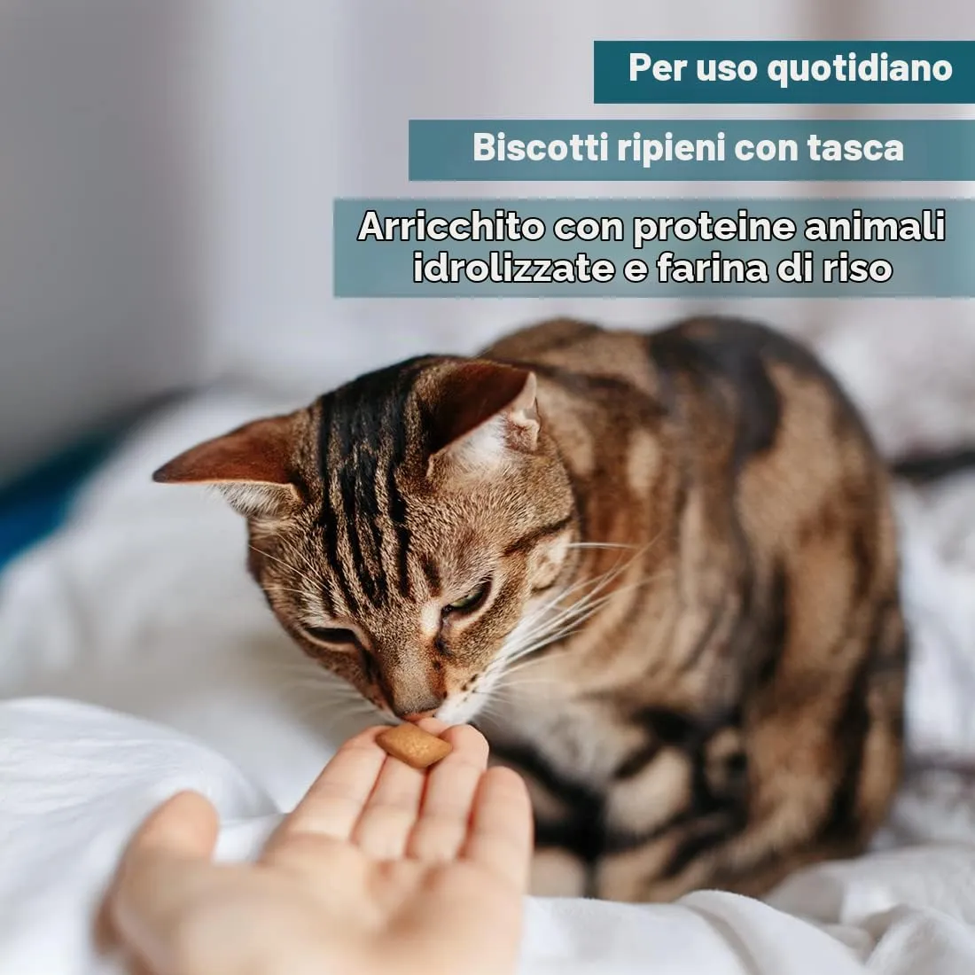 AmeizPet Biscotti Ipoallergenici per Gatti, 65 g - immagine 3