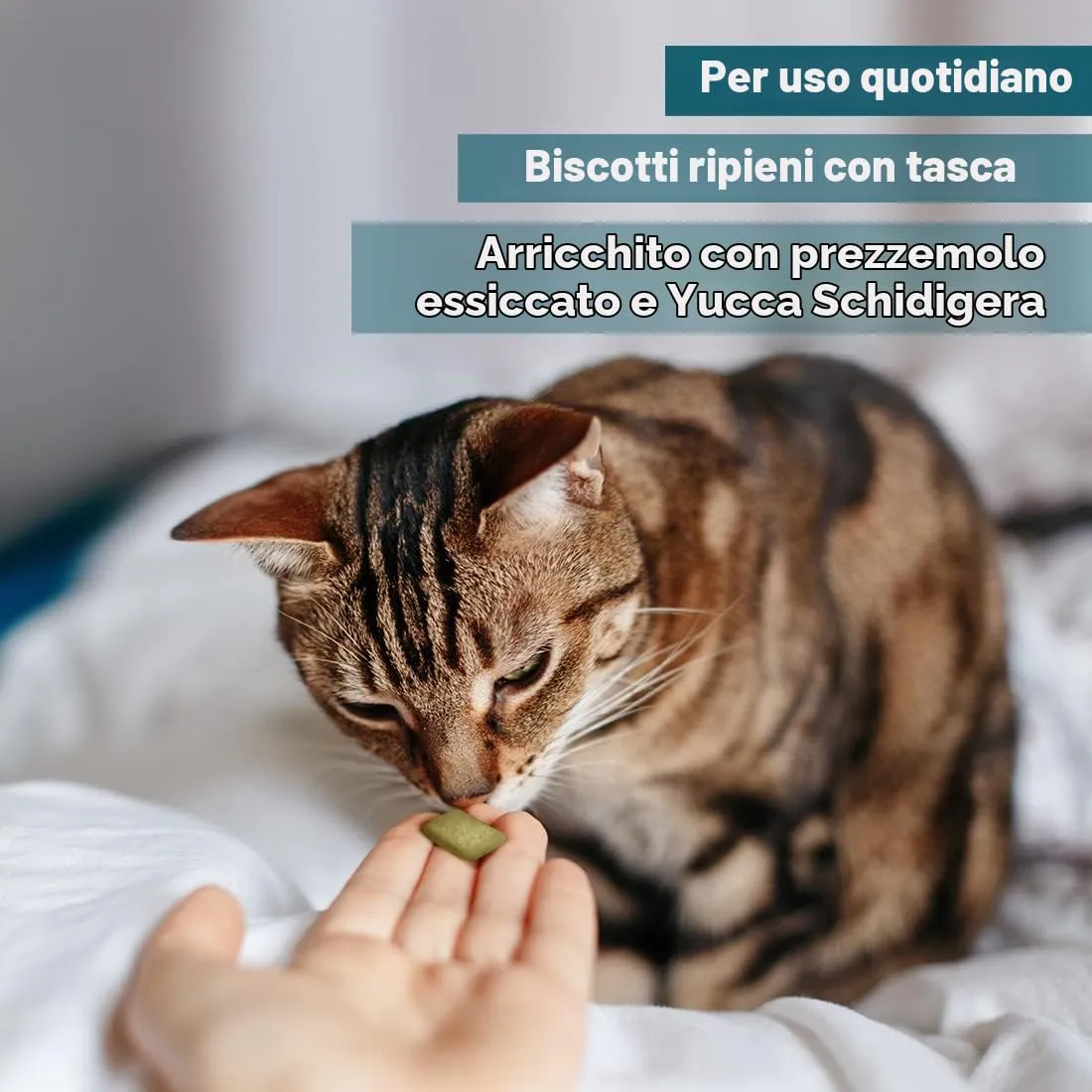 AmeizPet Biscotti Alito Fresco per Gatti, 65 g - immagine 3