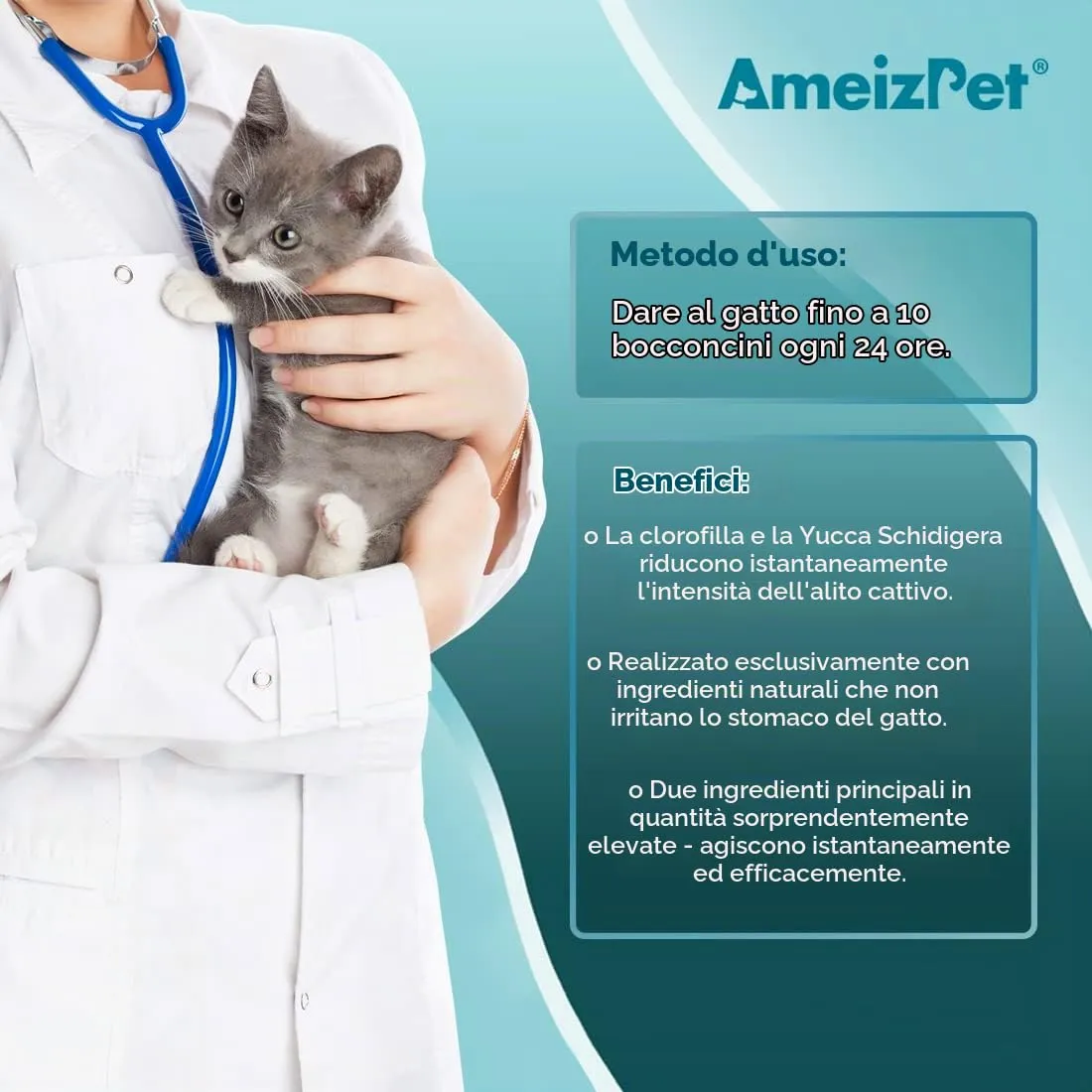 AmeizPet Biscotti Alito Fresco per Gatti, 65 g - immagine 4