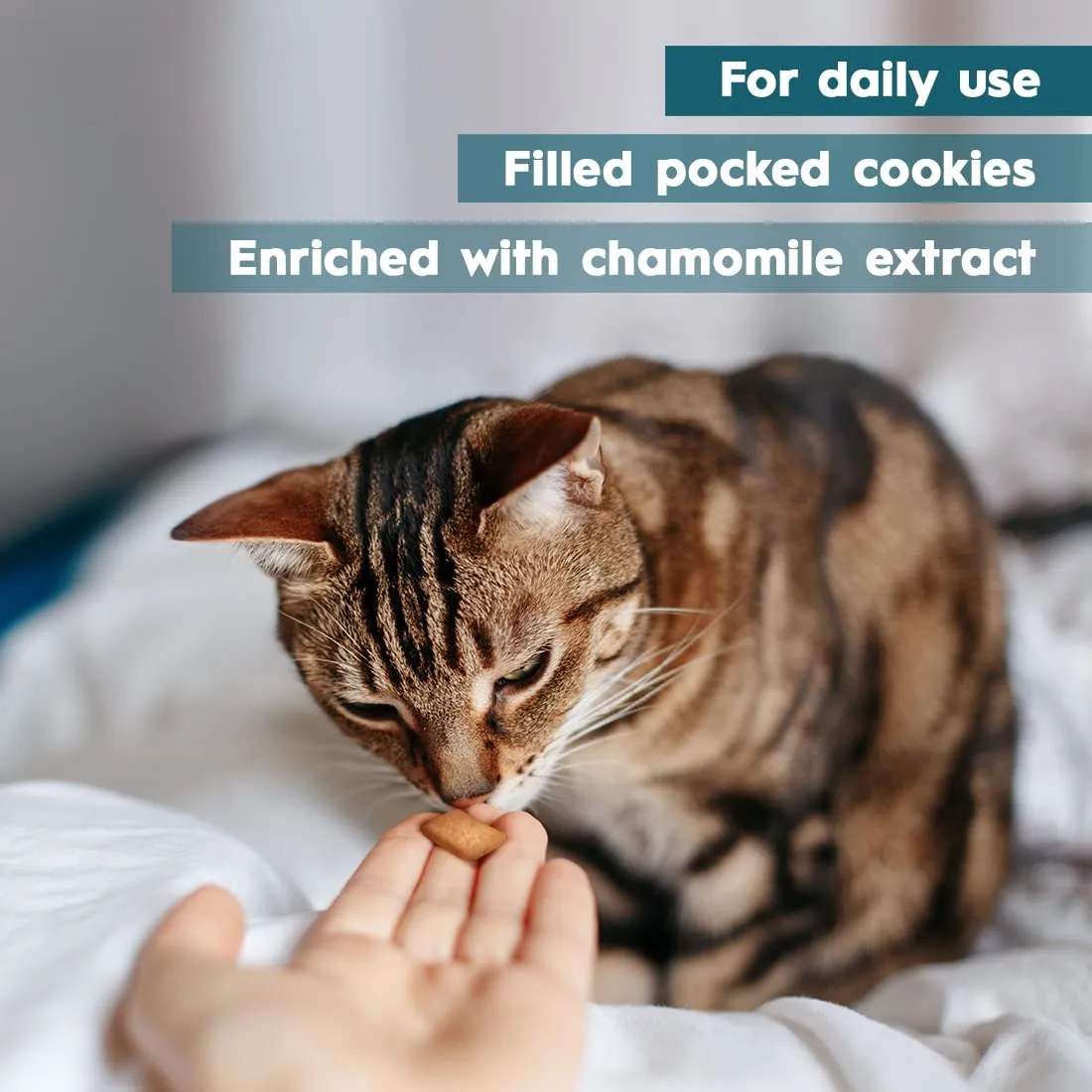 AmeizPet Biscotti Calmanti per Gatti, 65 g - immagine 3
