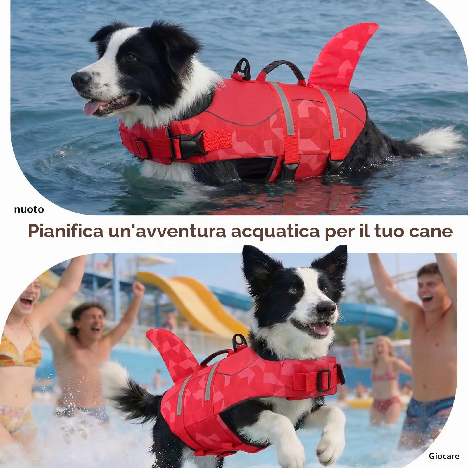 CITÉTOILE Giubbotto Salvagente per Cane, Ripstop Regolabile, Rosso, XS - immagine 6