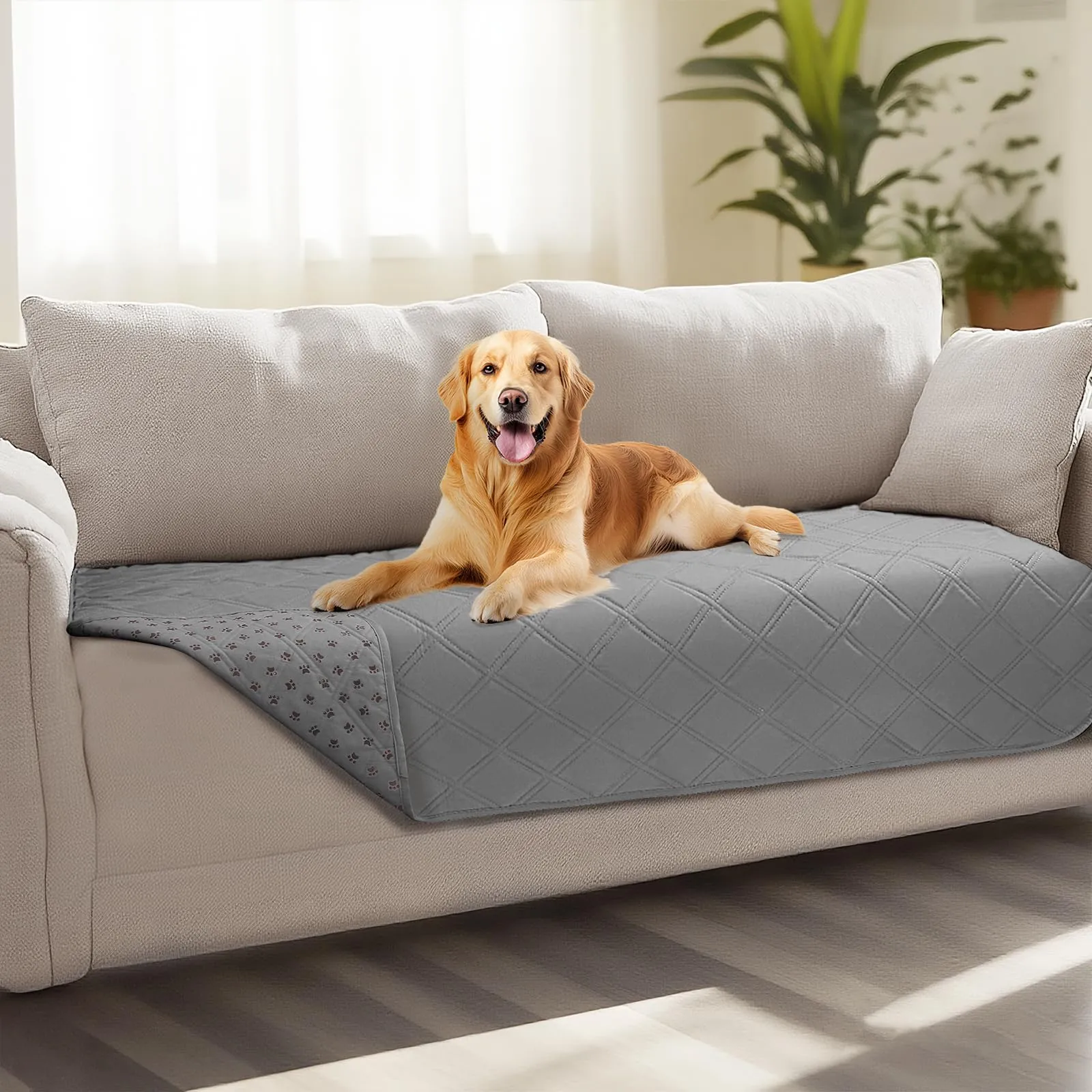 luciphia Copridivano Impermeabile per Cani e Gatti, Grigio Chiaro, 76 x 178 cm - immagine 1