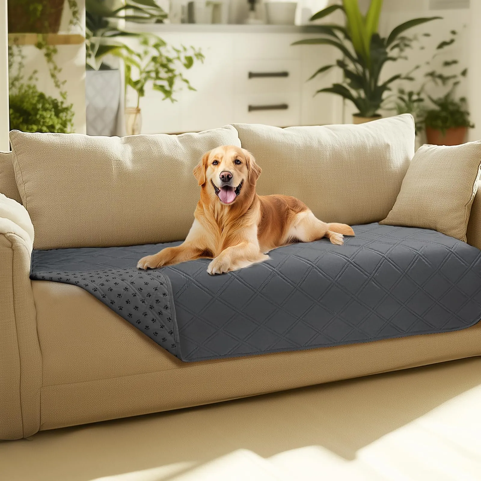 luciphia Copridivano Impermeabile per Cani e Gatti, Grigio 76 x 178 cm - immagine 1
