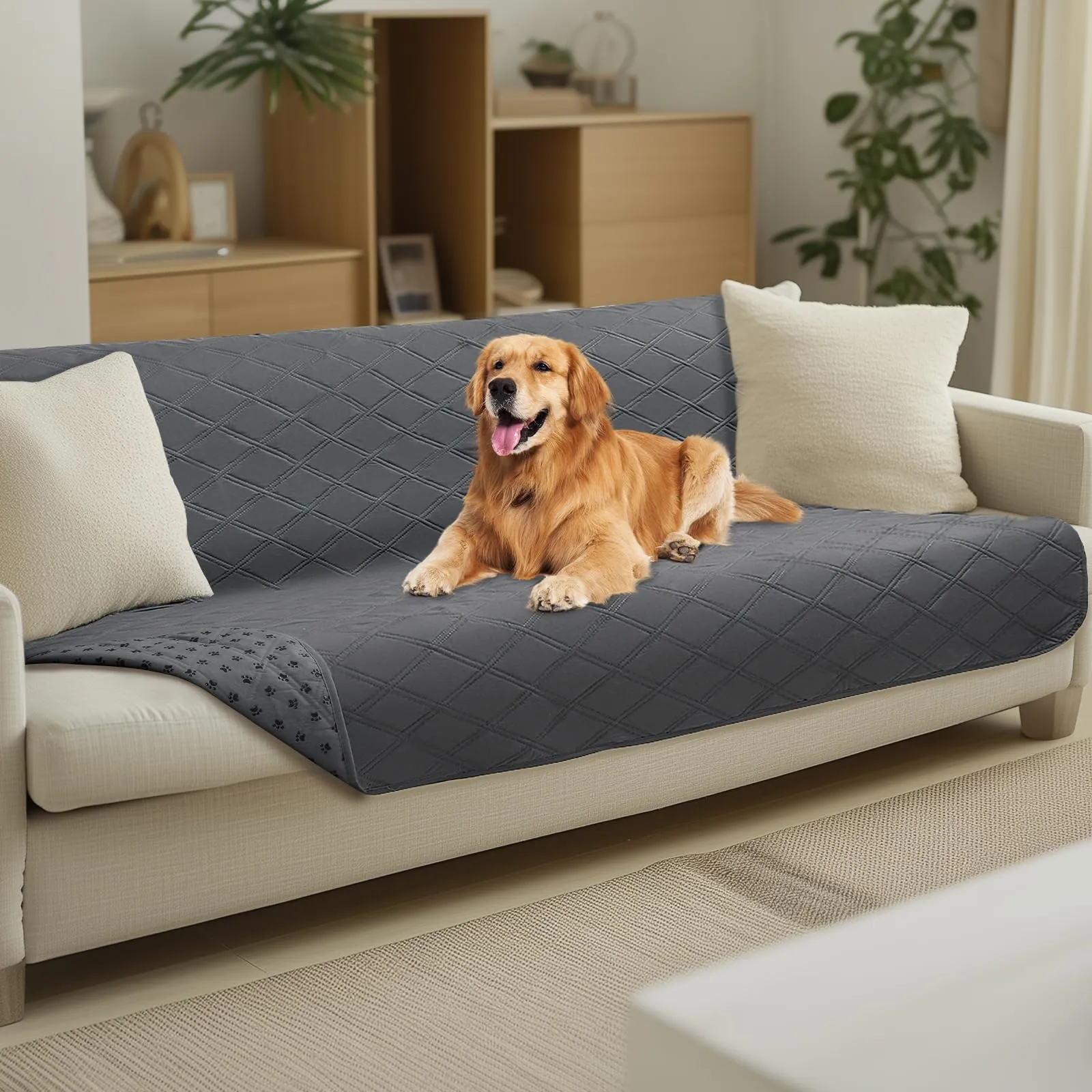 luciphia Copridivano per Cani Impermeabile con Punti Antiscivolo, Grigio 132x208cm - immagine 1