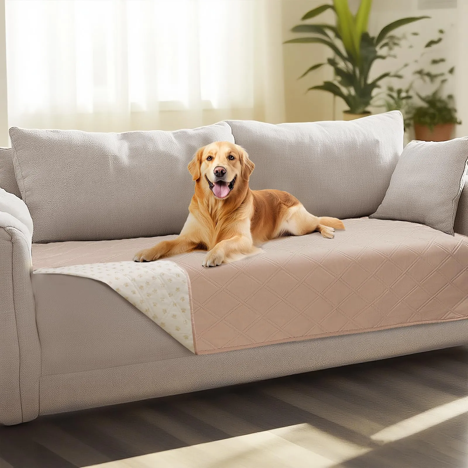luciphia Copridivano Impermeabile per Cani e Gatti, Antiscivolo, Beige Kaki, 76 x 178 cm - immagine 1