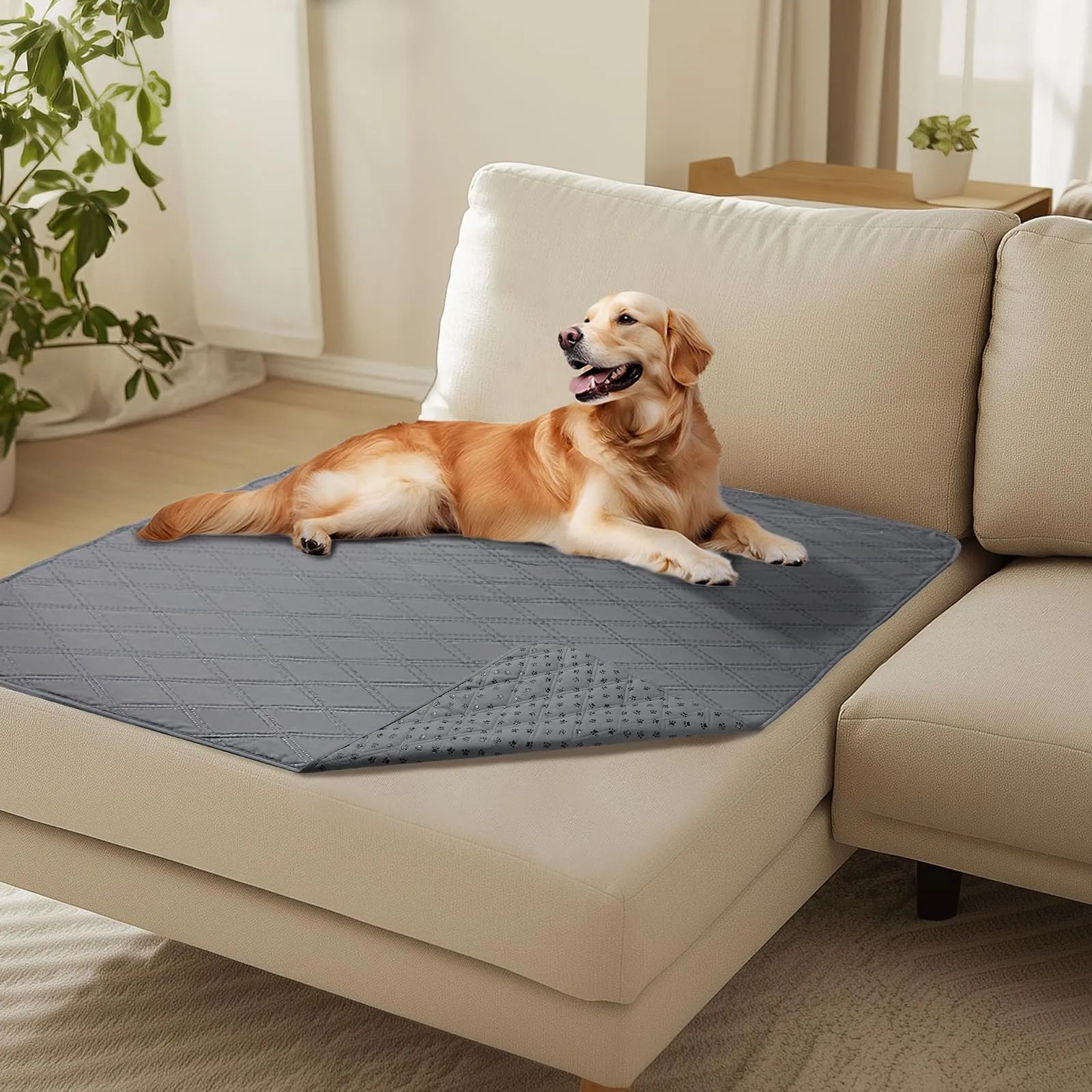 luciphia Copridivano Impermeabile per Cani e Gatti, Grigio Chiaro, 101 x 127 cm - immagine 1