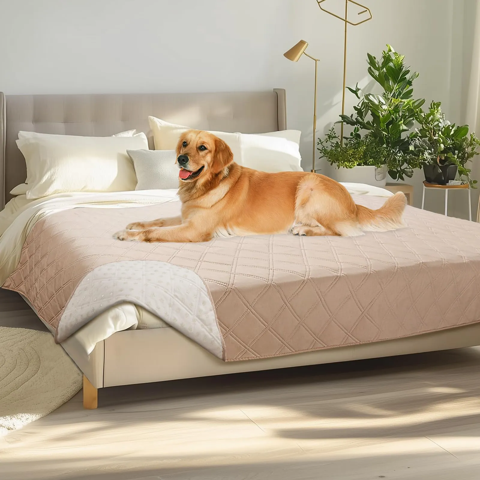 luciphia Copridivano per Cani Impermeabile con Punti Antiscivolo, Beige Kaki, 173 x 208 cm - immagine 1