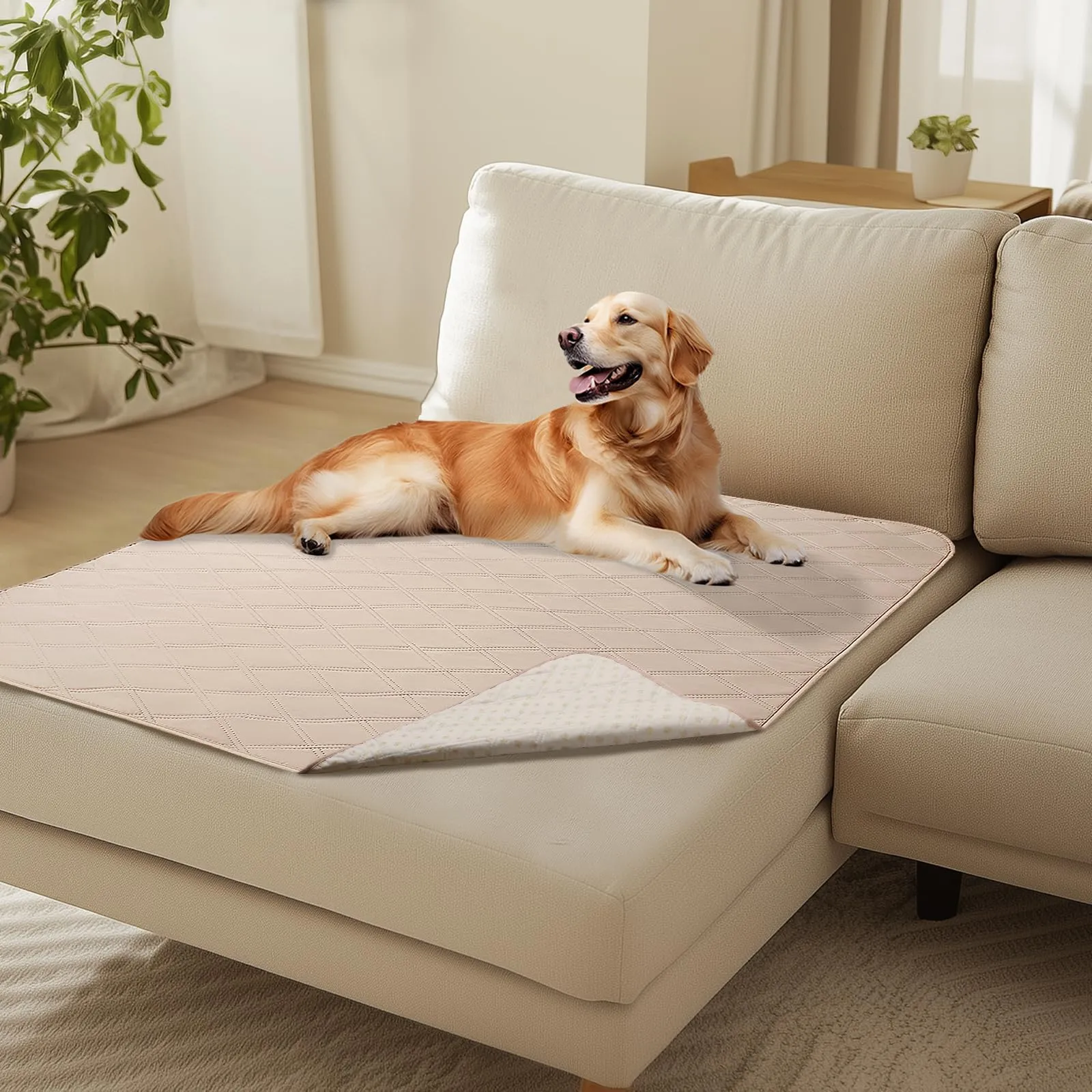 luciphia Copridivano Impermeabile per Cani e Gatti, Tappetino Protezione Mobili Antiscivolo, Beige Kaki, 101 x 127 cm - immagine 1