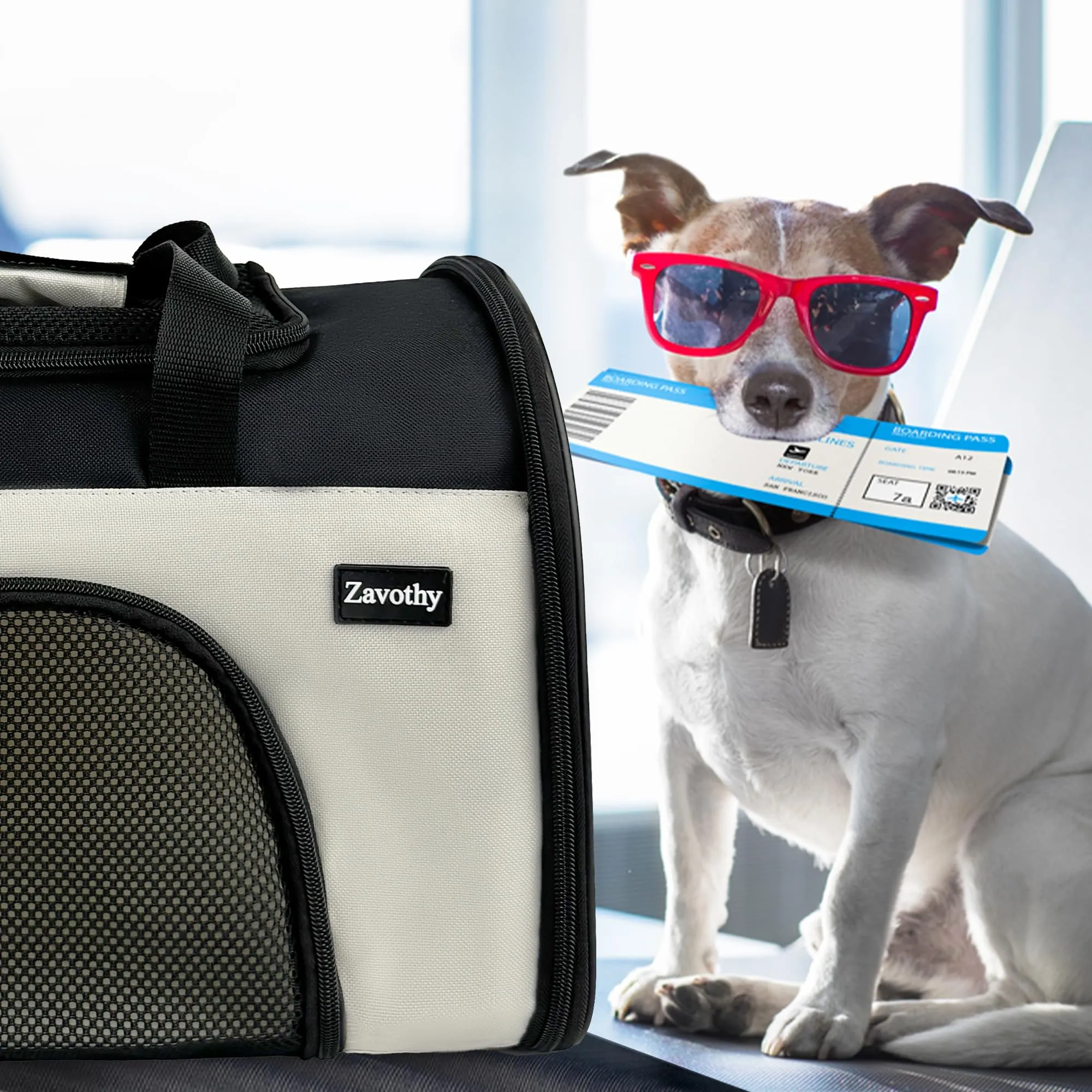 Zavothy Borsa Trasporto per Gatti e Cani, Traspirante e Pieghevole con Tracolla Regolabile e Materasso Rimovibile, S, Beige - immagine 9