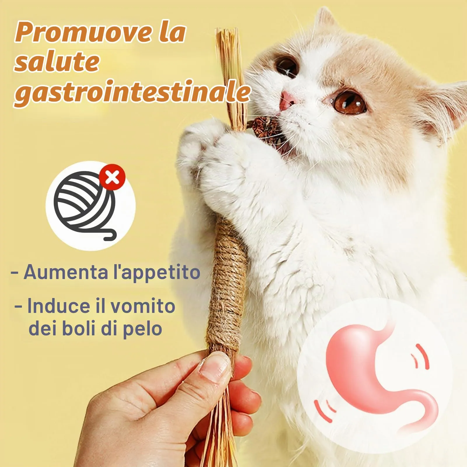 soodyoow Giochi per Gatti, 3 Corde da Mordere e 4 Bastoncini di Erba Gatta per Cura Dentale e Pulizia della Bocca - immagine 6