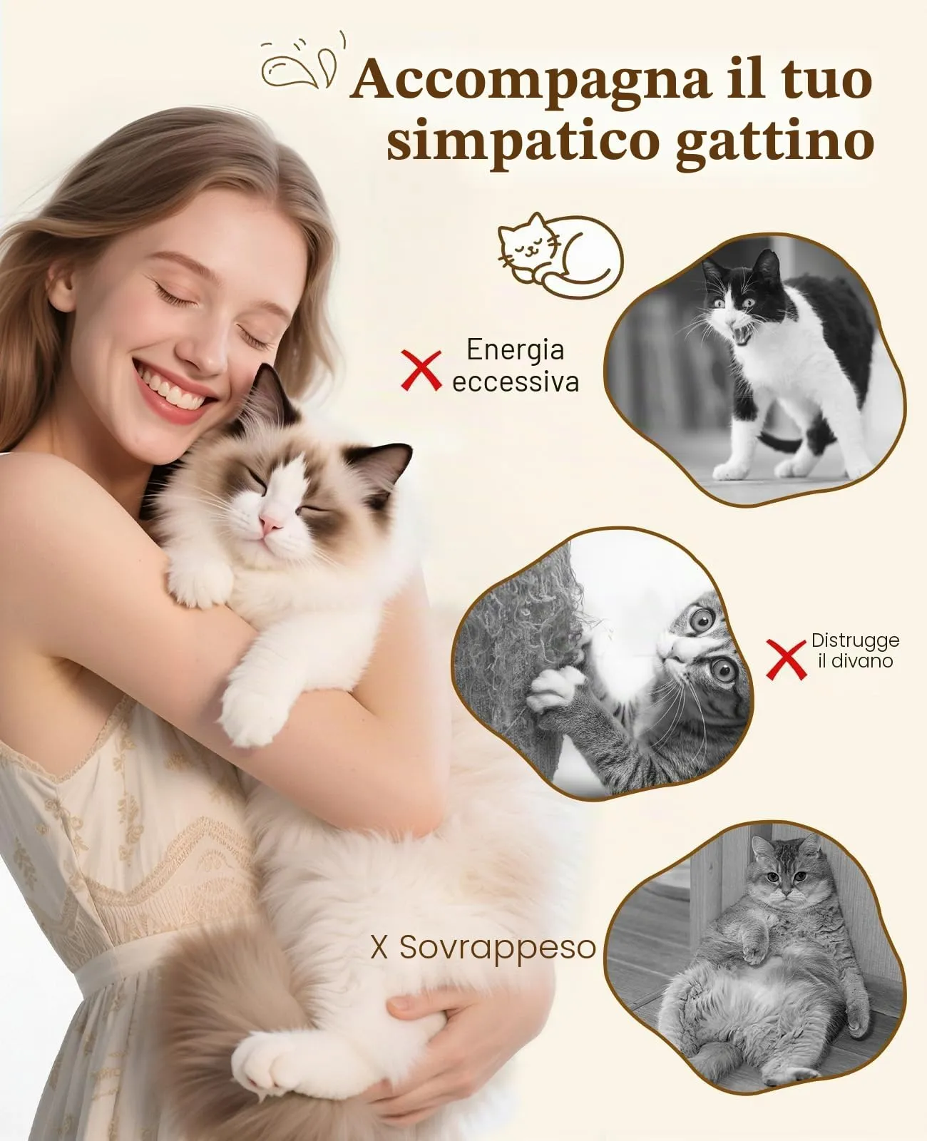 Pawaboo Bacchetta gioco con piume per gatti, confezione da 2 - immagine 6