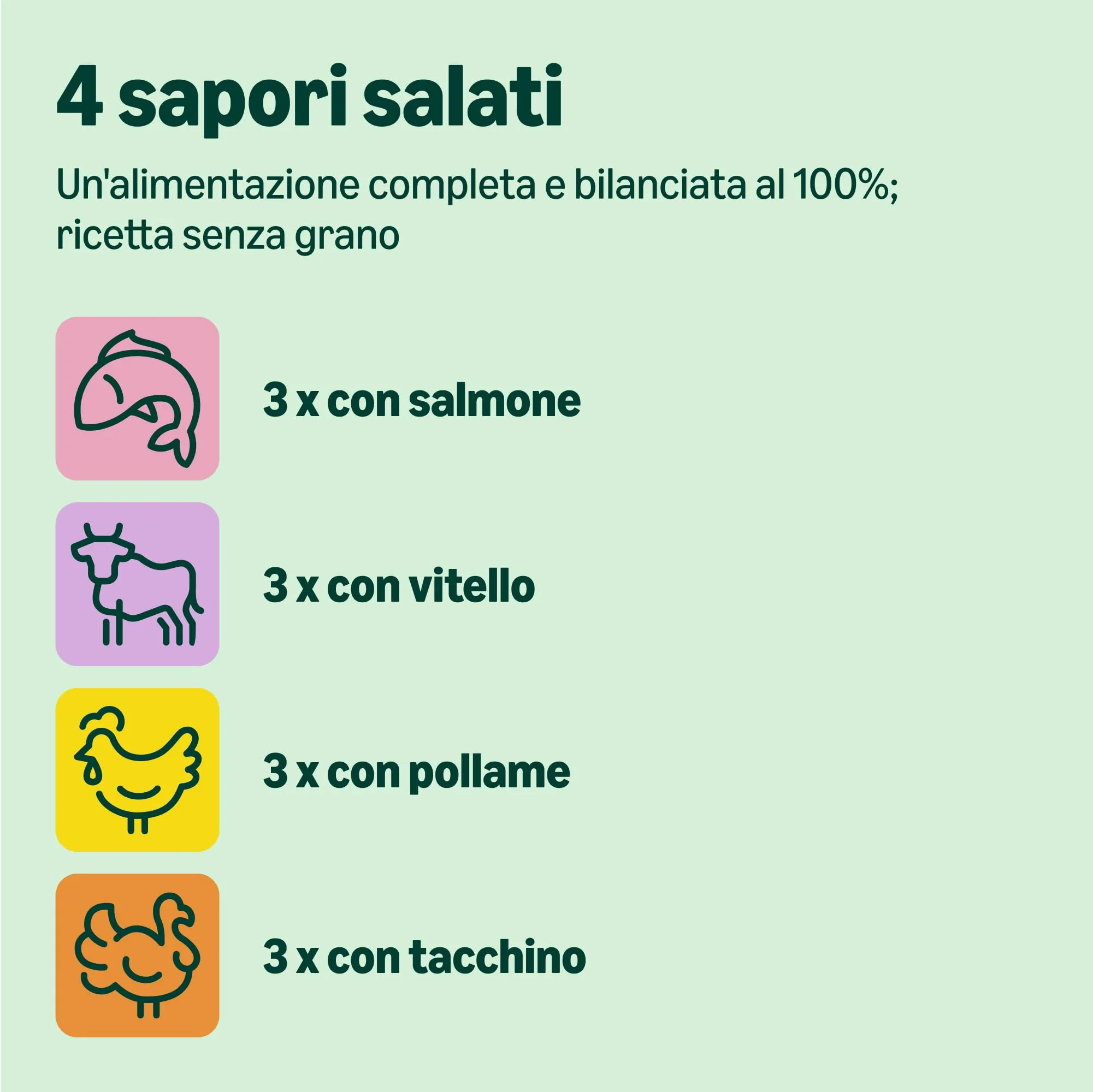 by Amazon Alimento completo per cuccioli di gatto, Selezione mista in gelatina, 1.2kg (12 sacchetti da 100g) - immagine 2