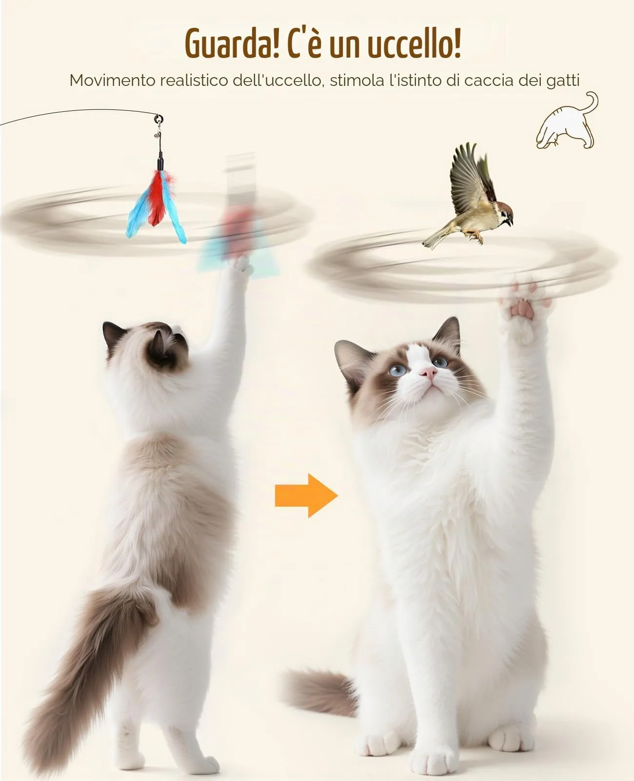 Pawaboo Bacchetta gioco con piume per gatti, 2 pezzi, 88 cm - immagine 4
