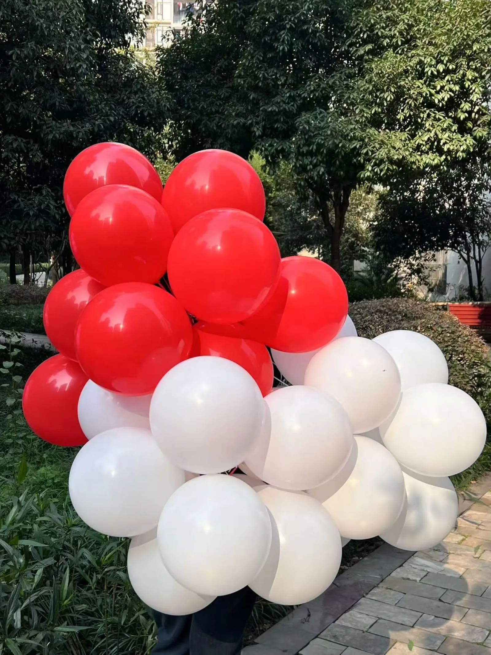 Yehnda Palloncini Rossi in Lattice, 30 cm, 100 pezzi - immagine 5