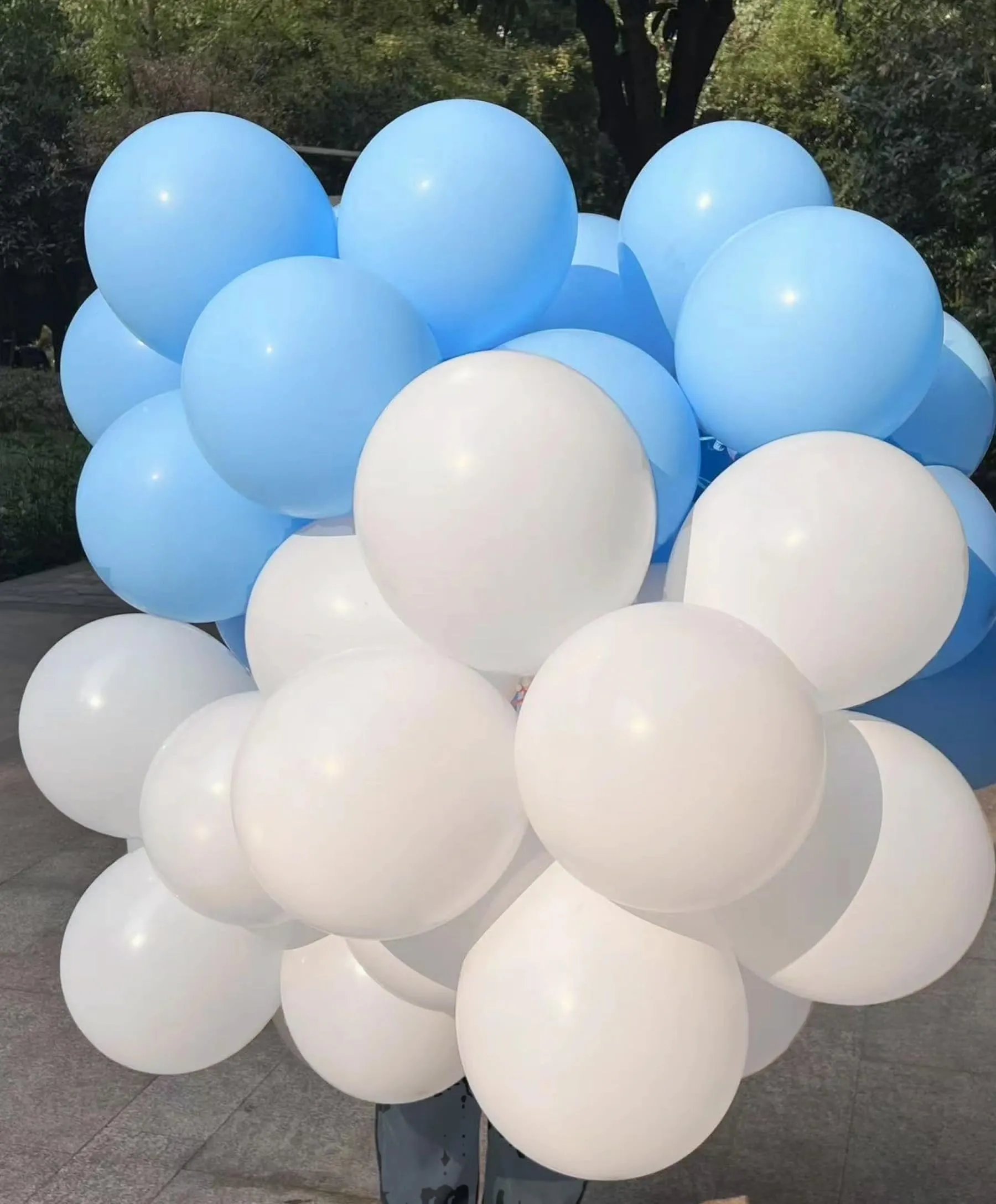 Yehnda Palloncini in Lattice Blu Pastello, 100 Pezzi, 30 cm - immagine 5