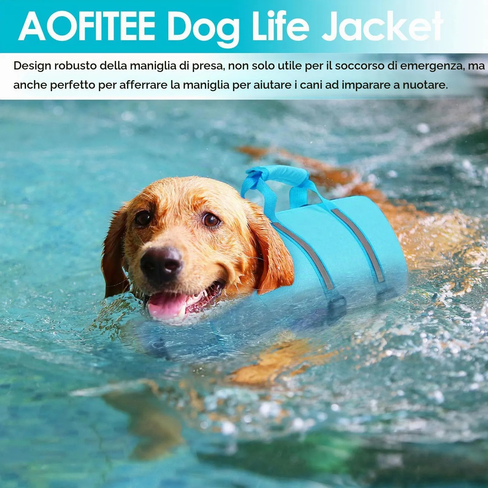 AOFITEE Giubbotto Salvagente per Cani, Blu, M - immagine 5