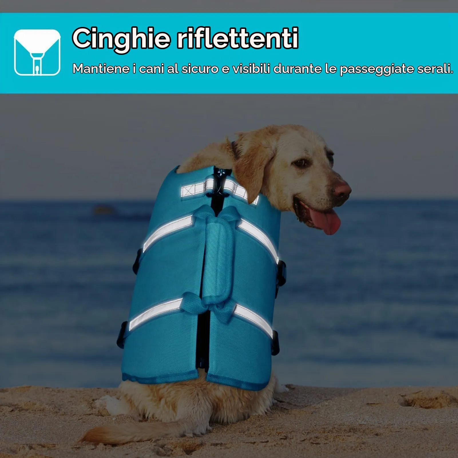 AOFITEE Giubbotto Salvagente per Cani - Blu, Taglia S - immagine 6