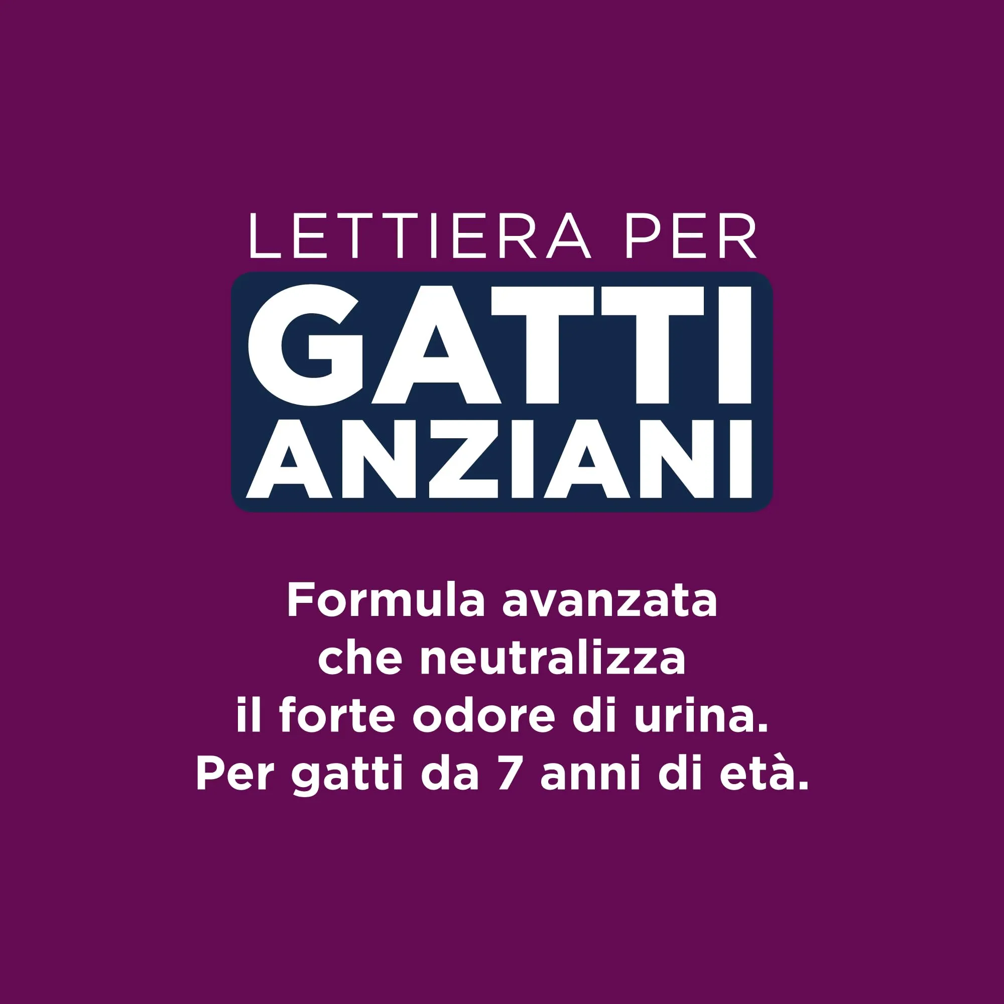 Ever Clean Senior Cat Lettiera per Gatti Agglomerante, 20 L - immagine 2