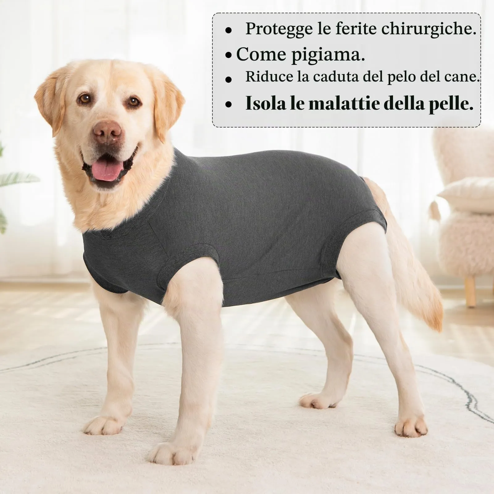 Cyponpy Body Post Operatorio per Cani Maschio e Femmina, Tuta da Recupero Post Sterilizzazione, Grigio, XXS - immagine 7