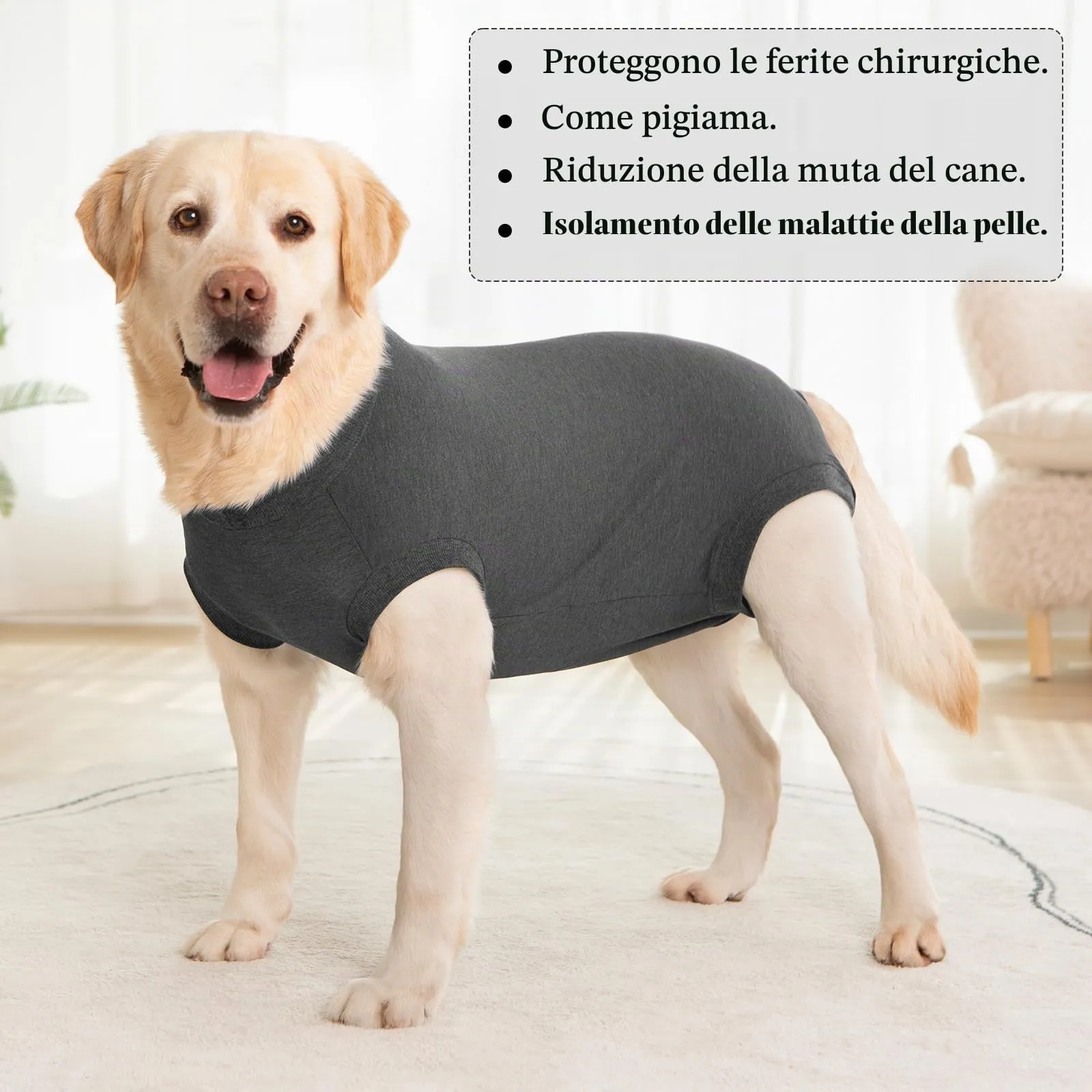 Cyponpy Body Post Operatorio per Cani Maschio e Femmina, Tuta da Recupero dopo Sterilizzazione, Taglia 3XL, Grigio - immagine 7