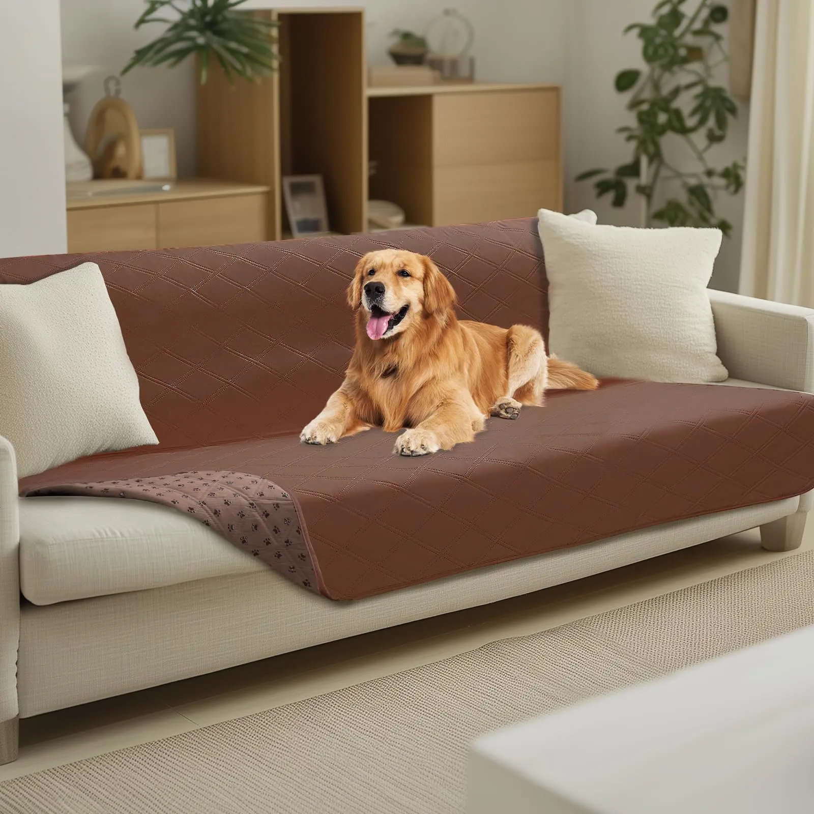 luciphia Copridivano Impermeabile per Cani e Gatti, Antiscivolo, Marrone 132x208cm - immagine 1