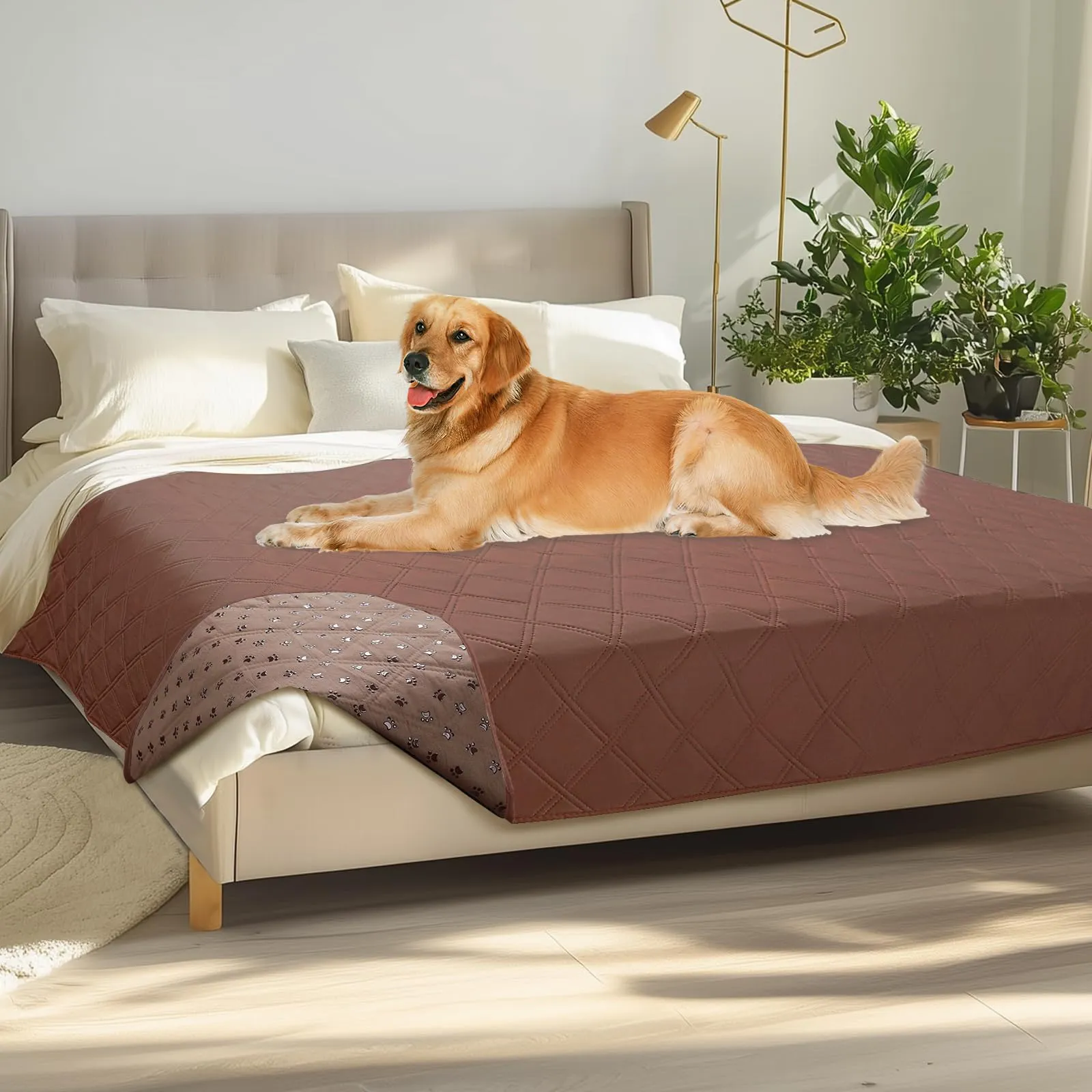 luciphia Copridivano per Cani Impermeabile con Punti Antiscivolo, Marrone 173x208cm - immagine 1