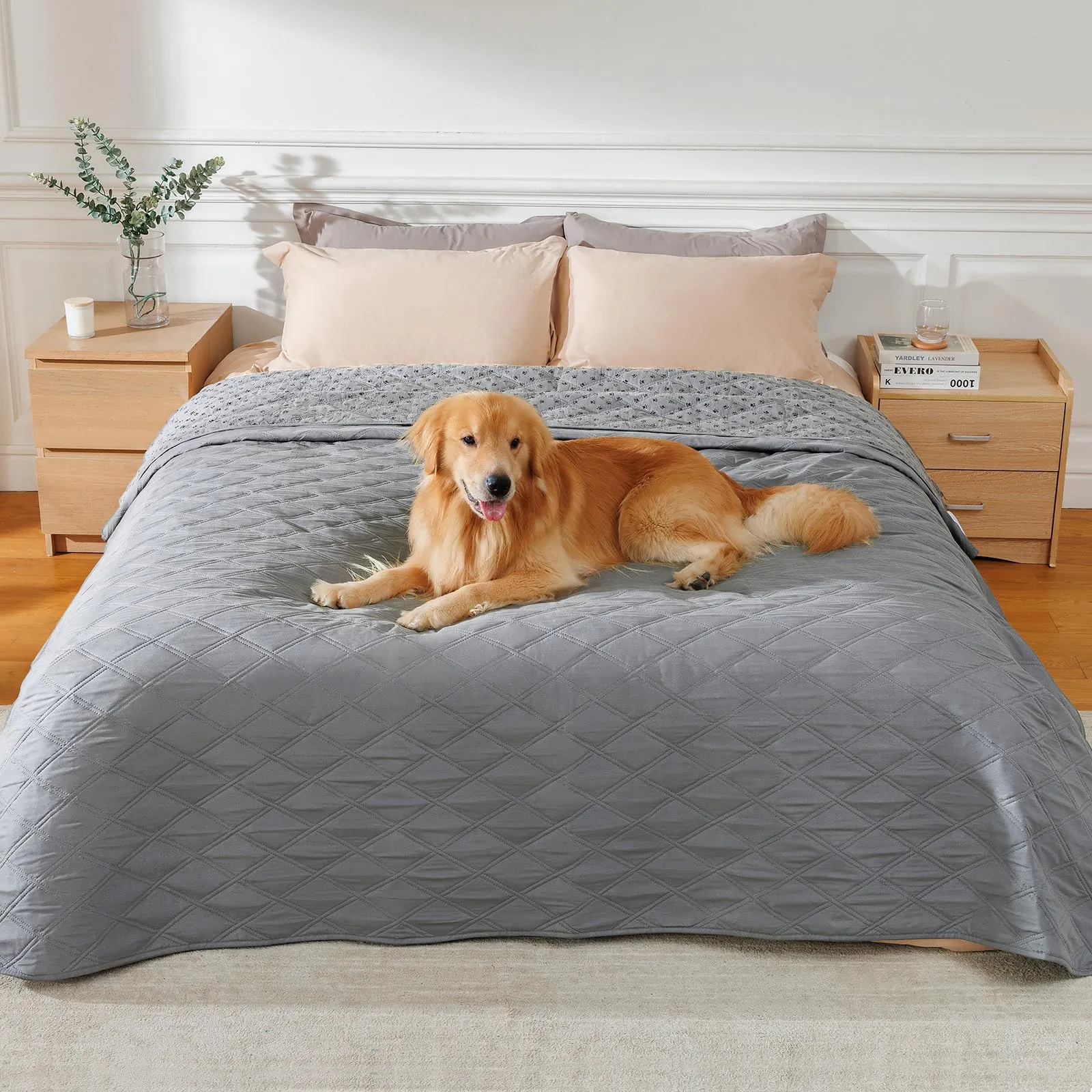 luciphia Copridivano Impermeabile per Cani e Gatti, Antiscivolo, Grigio Chiaro, 208 x 304 cm - immagine 1