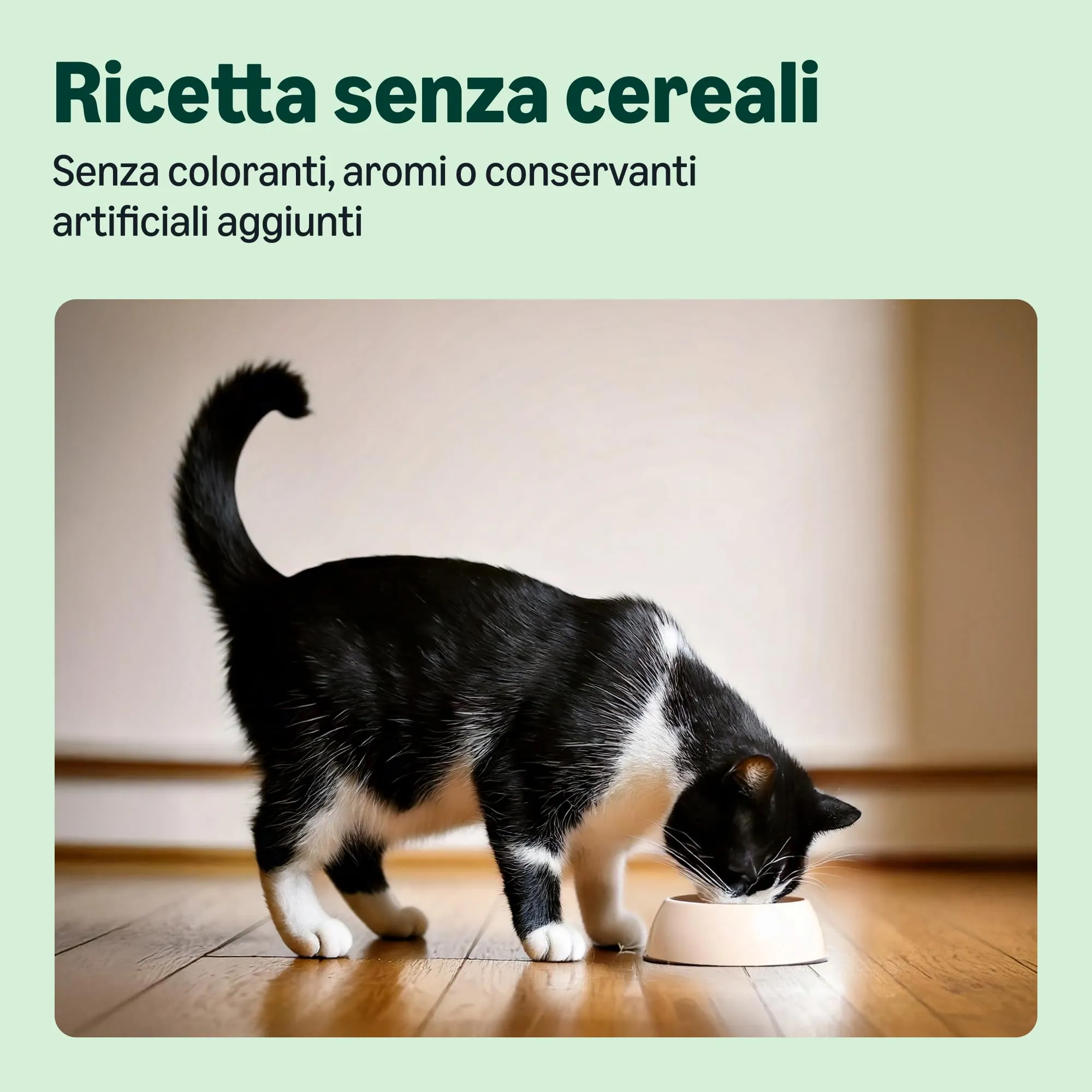 by Amazon Cibo Completo per Gatti Senior Senza Cereali con Pollo Fresco 3kg - immagine 4
