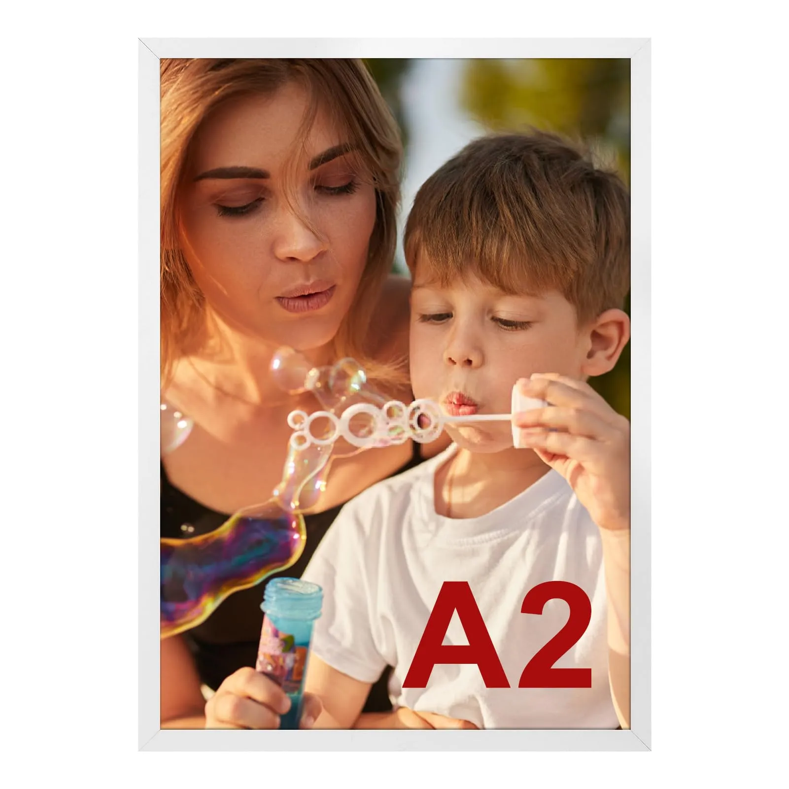 Ditwis Cornice A2 in Alluminio Bianca, 42x59,4 cm - immagine 1
