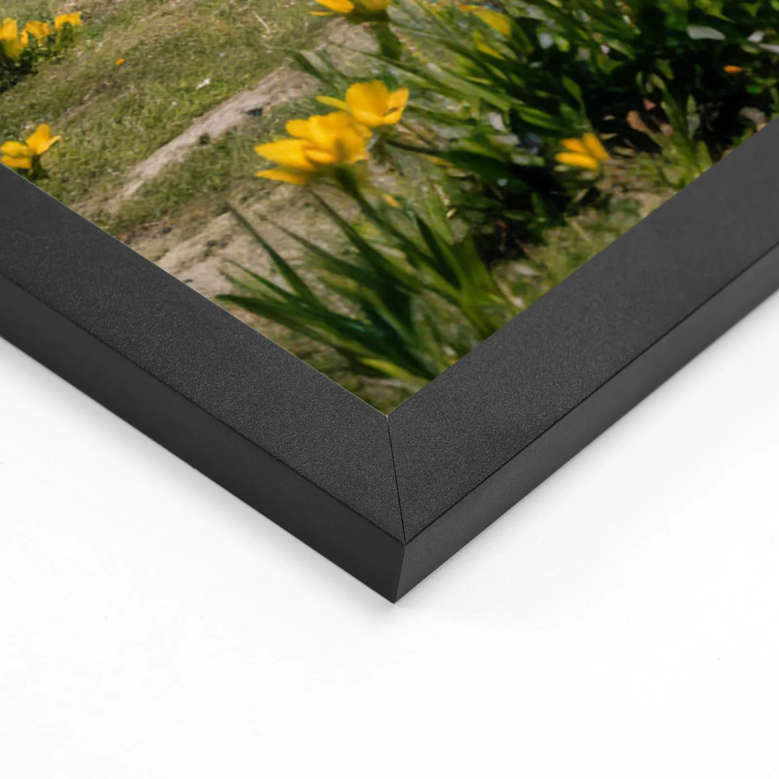 Ditwis Cornice A2 in Alluminio Nera, 42x59,4 cm - immagine 6