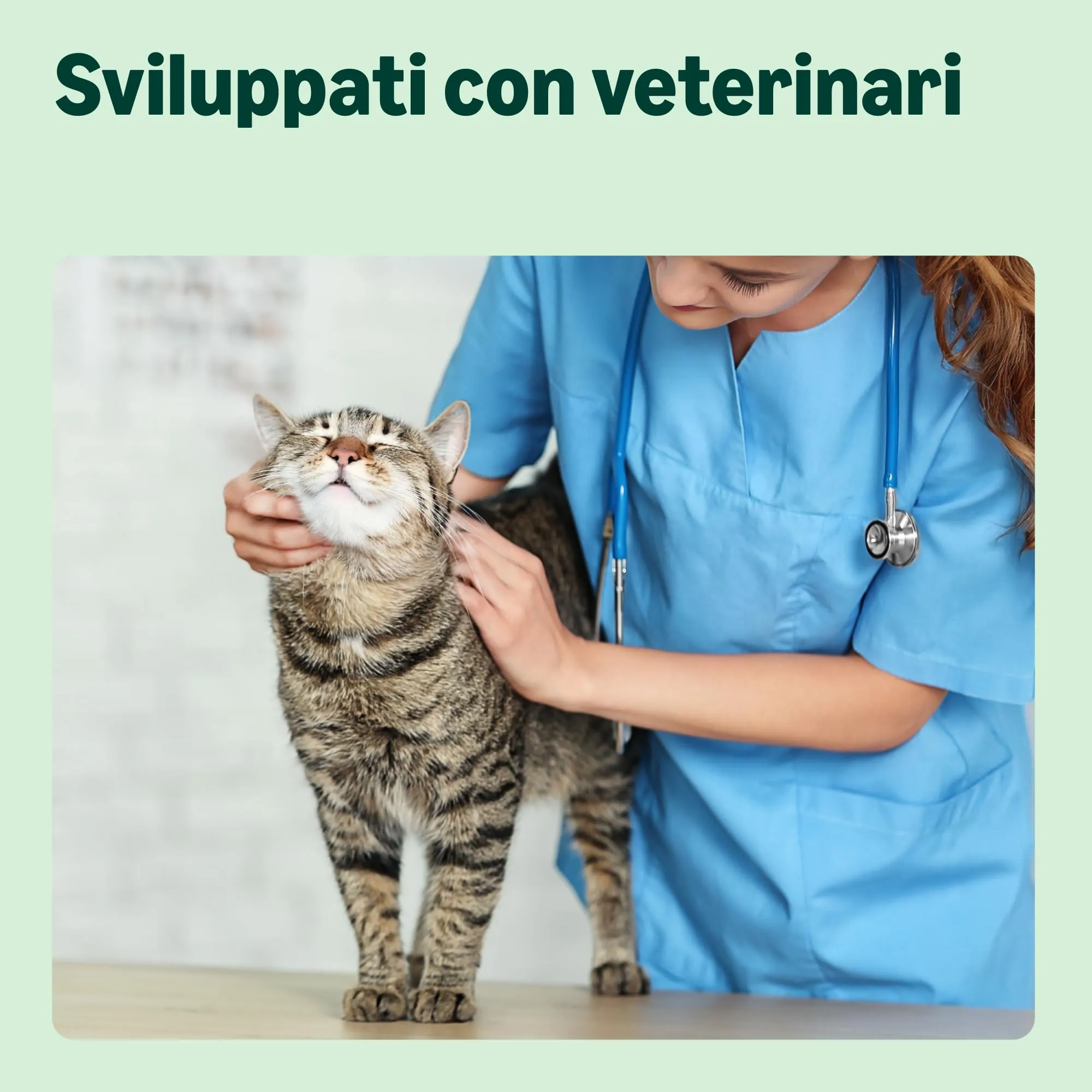 Amazon Cibo secco per gatti senza cereali Sterilizzato/Leggero con pollo fresco, 3 kg - immagine 3