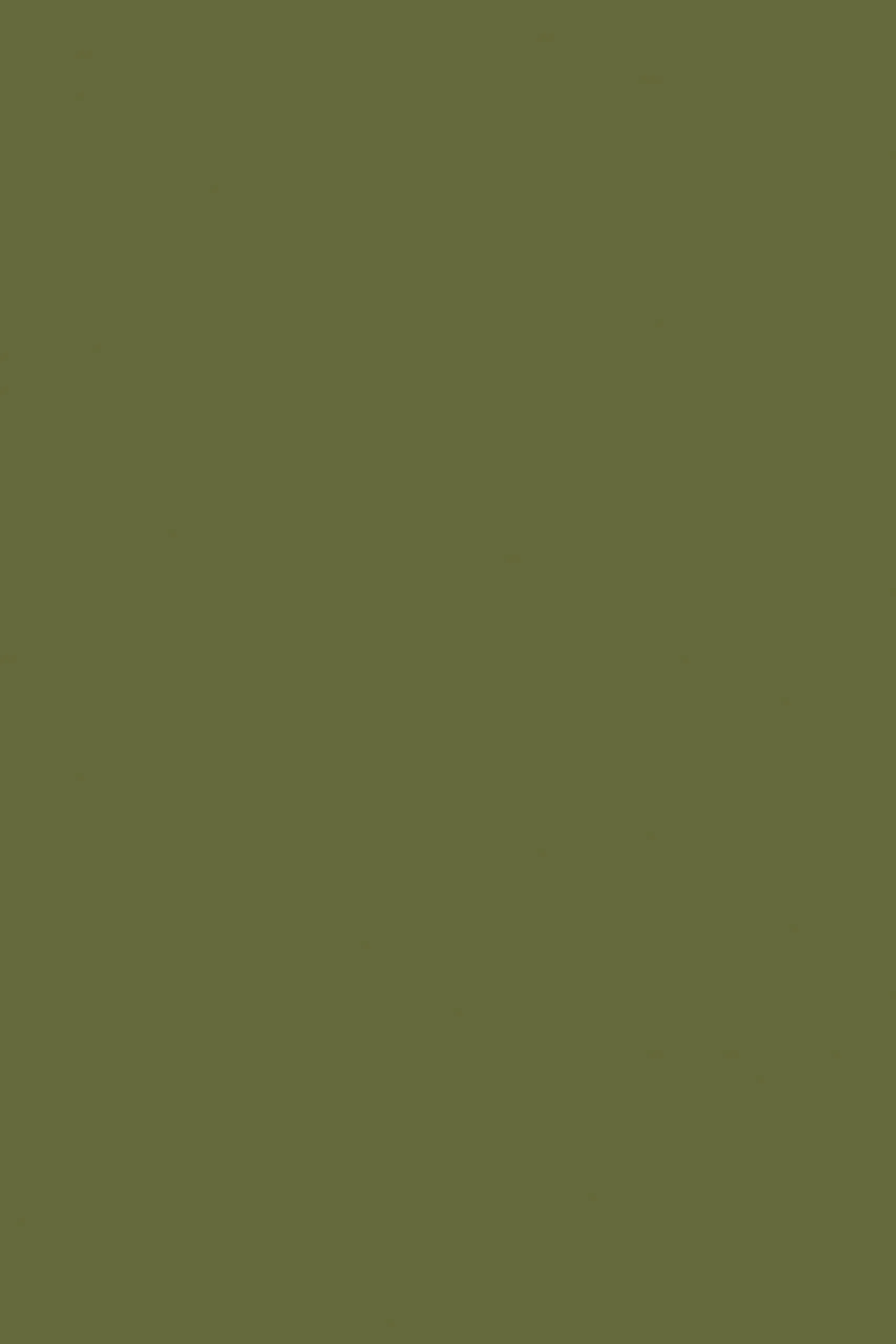 d-c-fix Pellicola Adesiva per Mobili Olive Green, 67,5 cm x 2 m - immagine 3