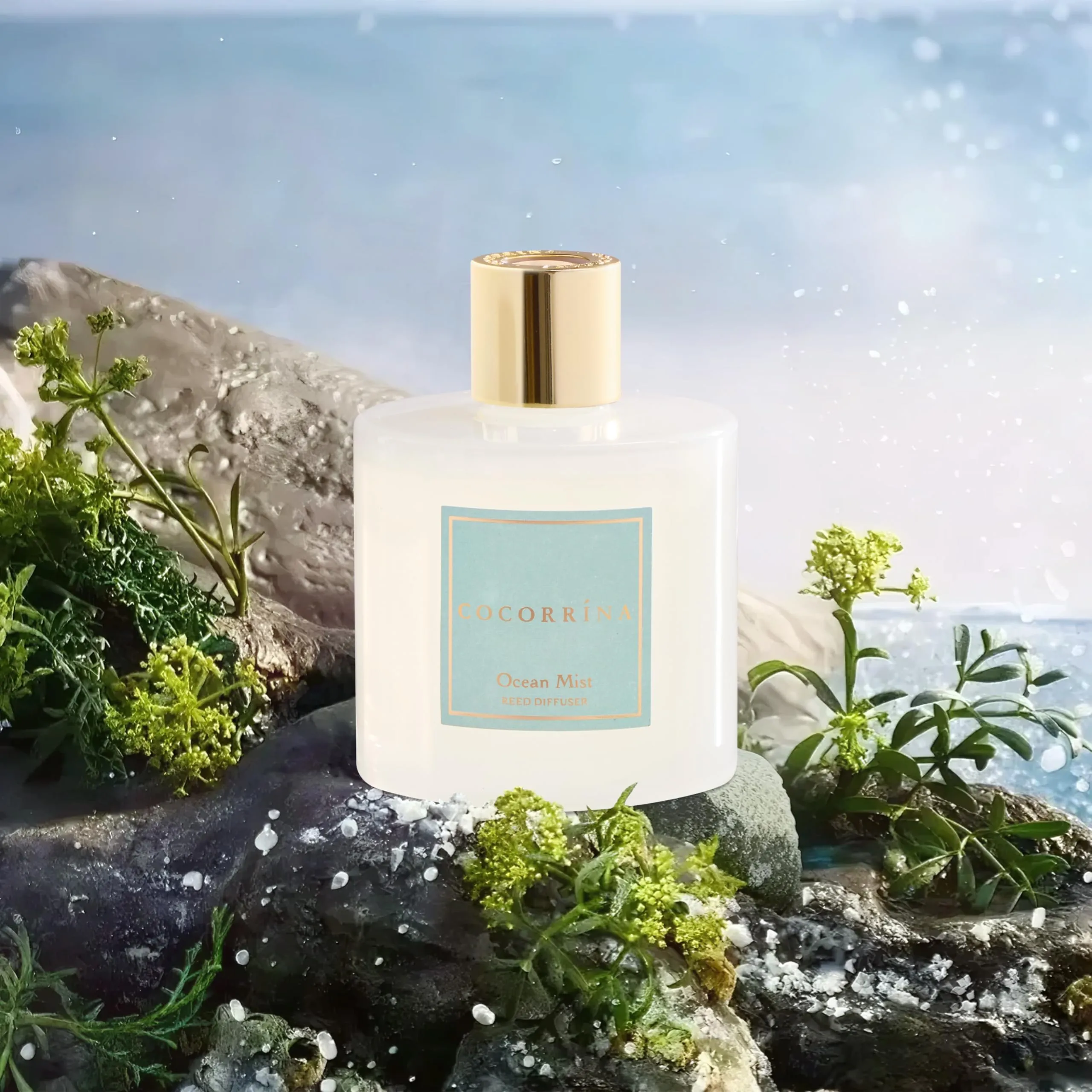 COCORRÍNA Diffusore Profumo Ambiente Ocean Mist, 200ml con Bastoncini e Fiore - immagine 4