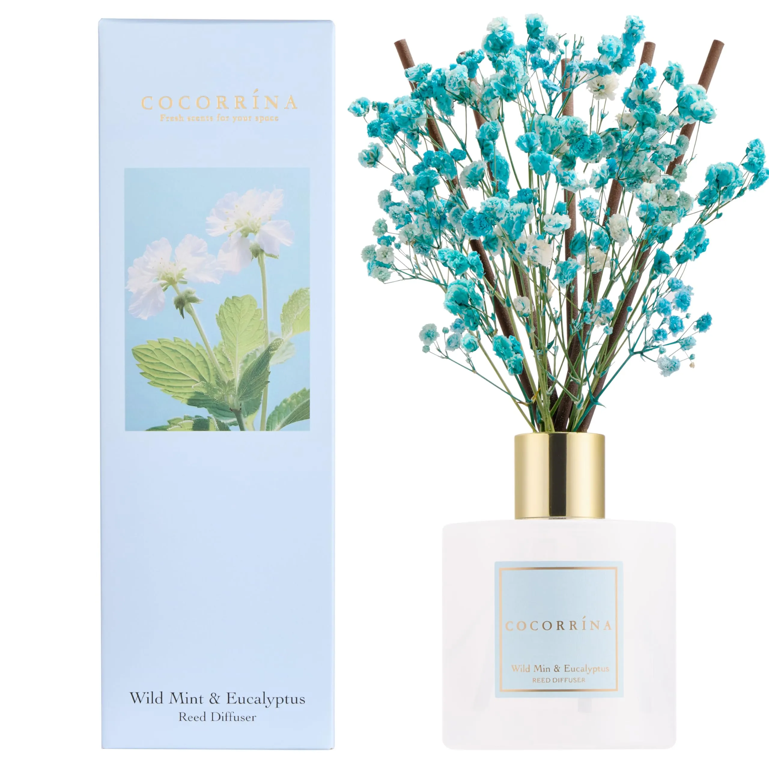 COCORRÍNA Diffusore Profumato Ambiente Wild Mint & Eucalyptus, 200ml con Bastoncini - immagine 1