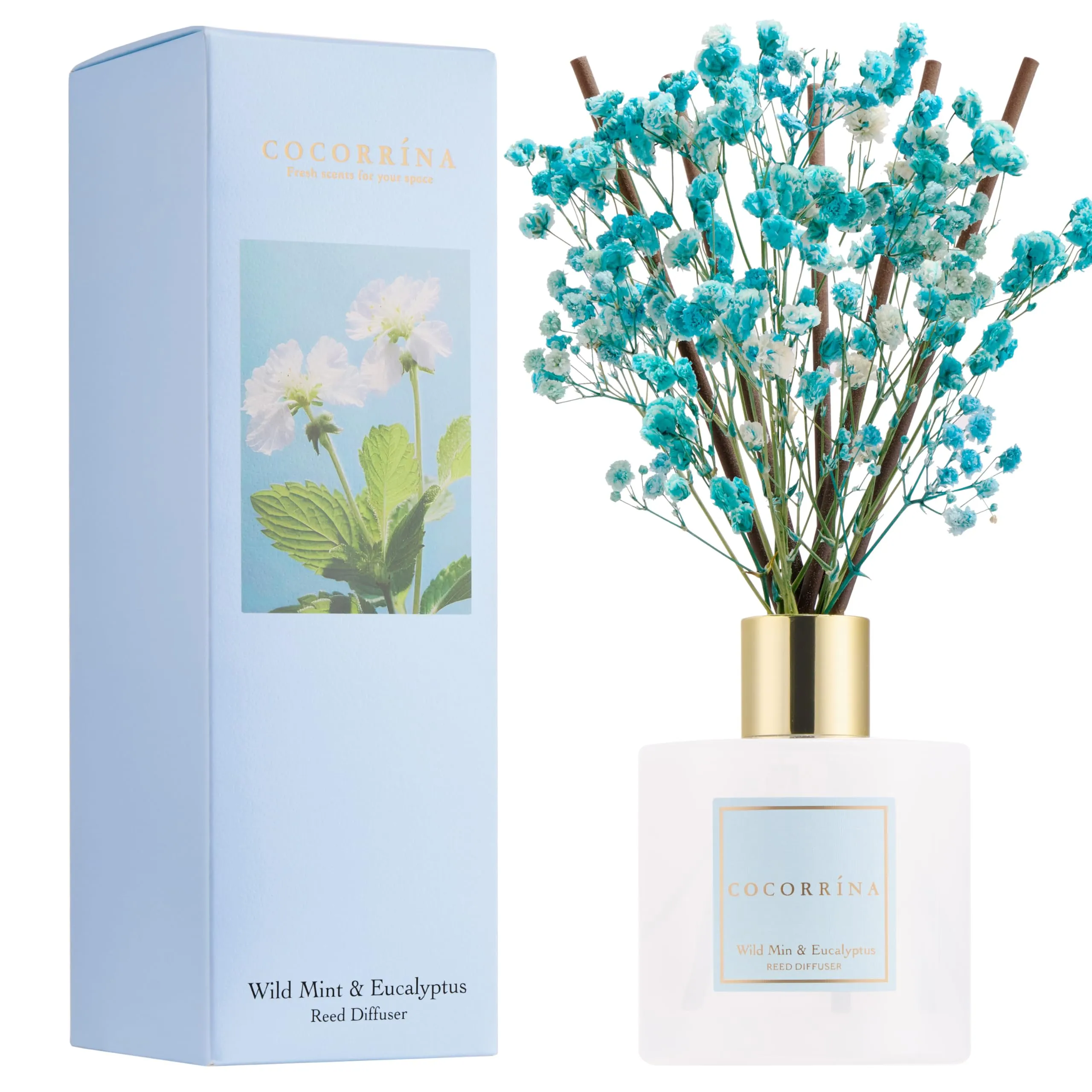 COCORRÍNA Diffusore Profumato Ambiente Wild Mint & Eucalyptus, 200ml con Bastoncini - immagine 2