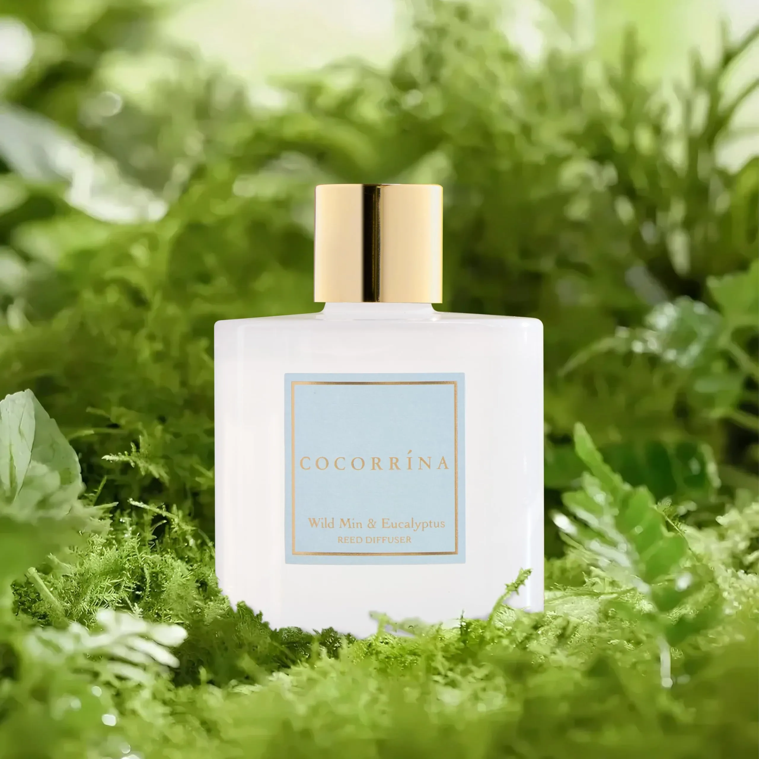 COCORRÍNA Diffusore Profumato Ambiente Wild Mint & Eucalyptus, 200ml con Bastoncini - immagine 4