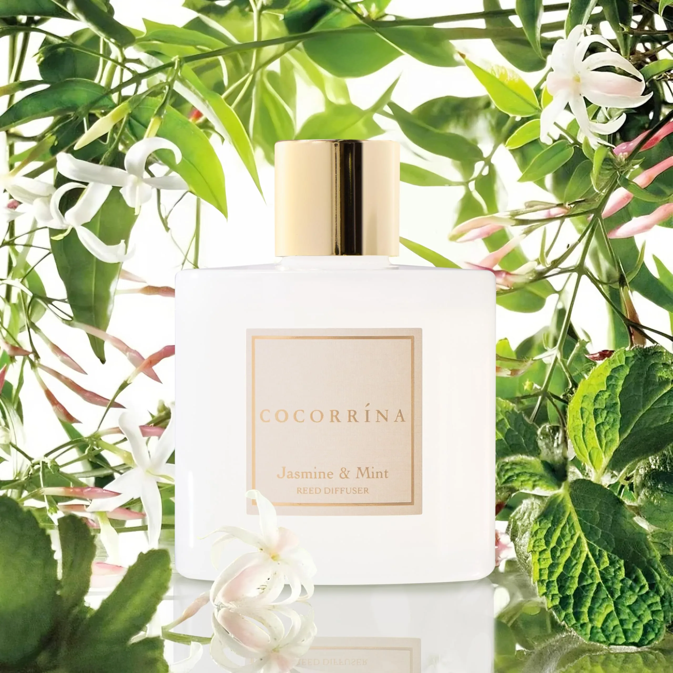 COCORRÍNA Diffusore Profumo Ambiente Jasmine & Mint, 200ml - immagine 4