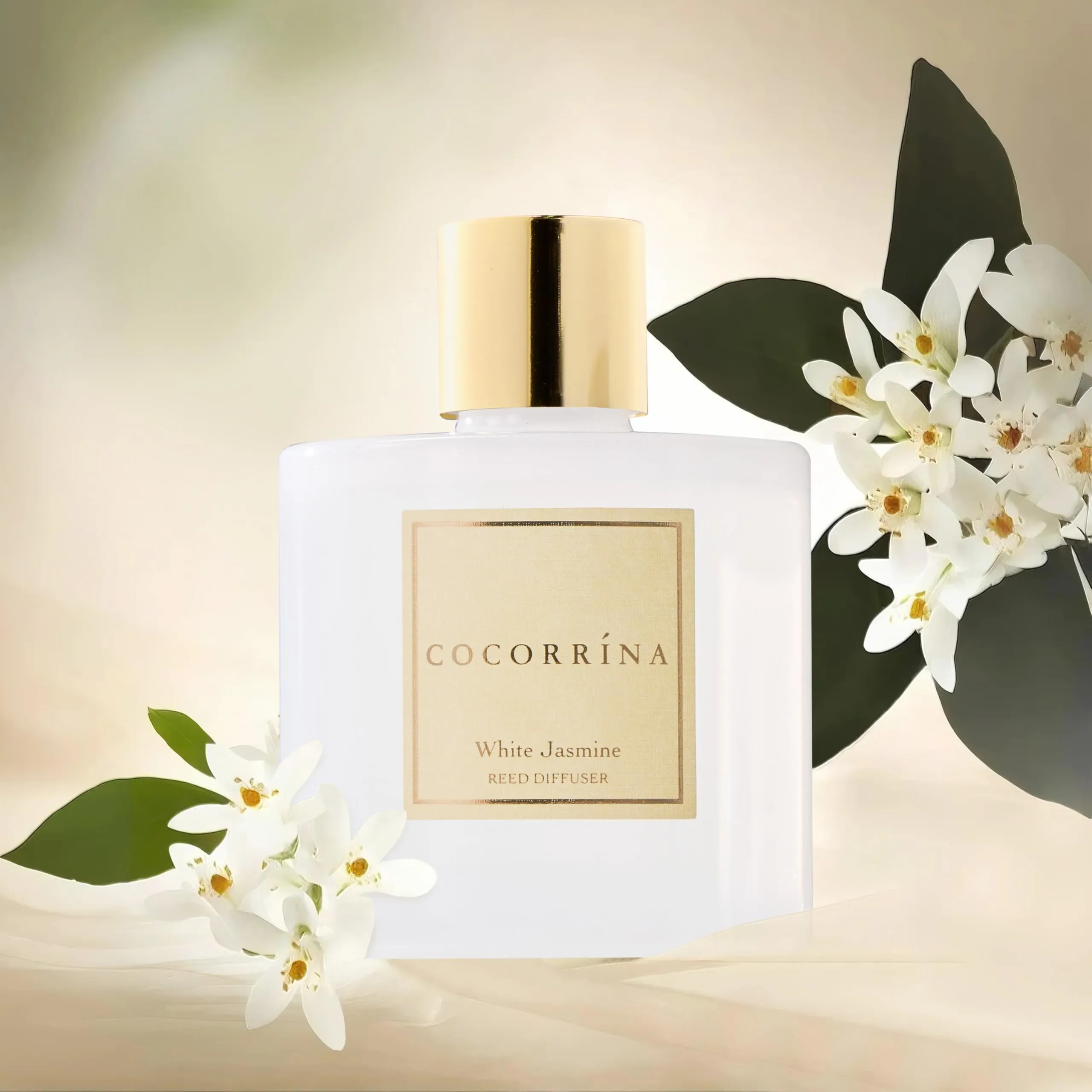 COCORRÍNA Diffusore Profumo Ambiente White Jasmine, 200ml con Bastoncini - immagine 4