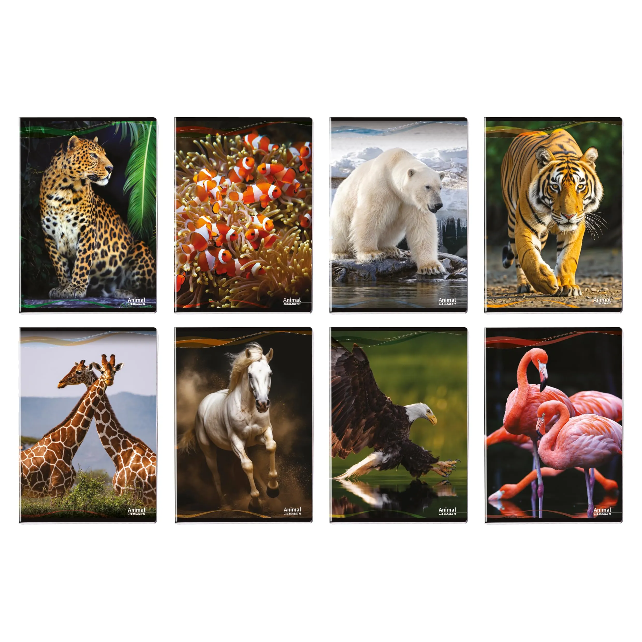 Blasetti Animal Maxi Notebook A4 0C Ruled with Margin, 10 Pack - immagine 3