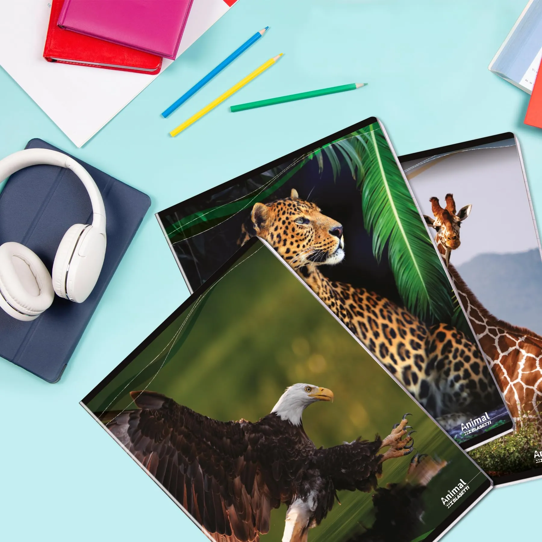 Blasetti Animal Maxi Notebook A4 5mm Squares, 10 Pieces - immagine 7