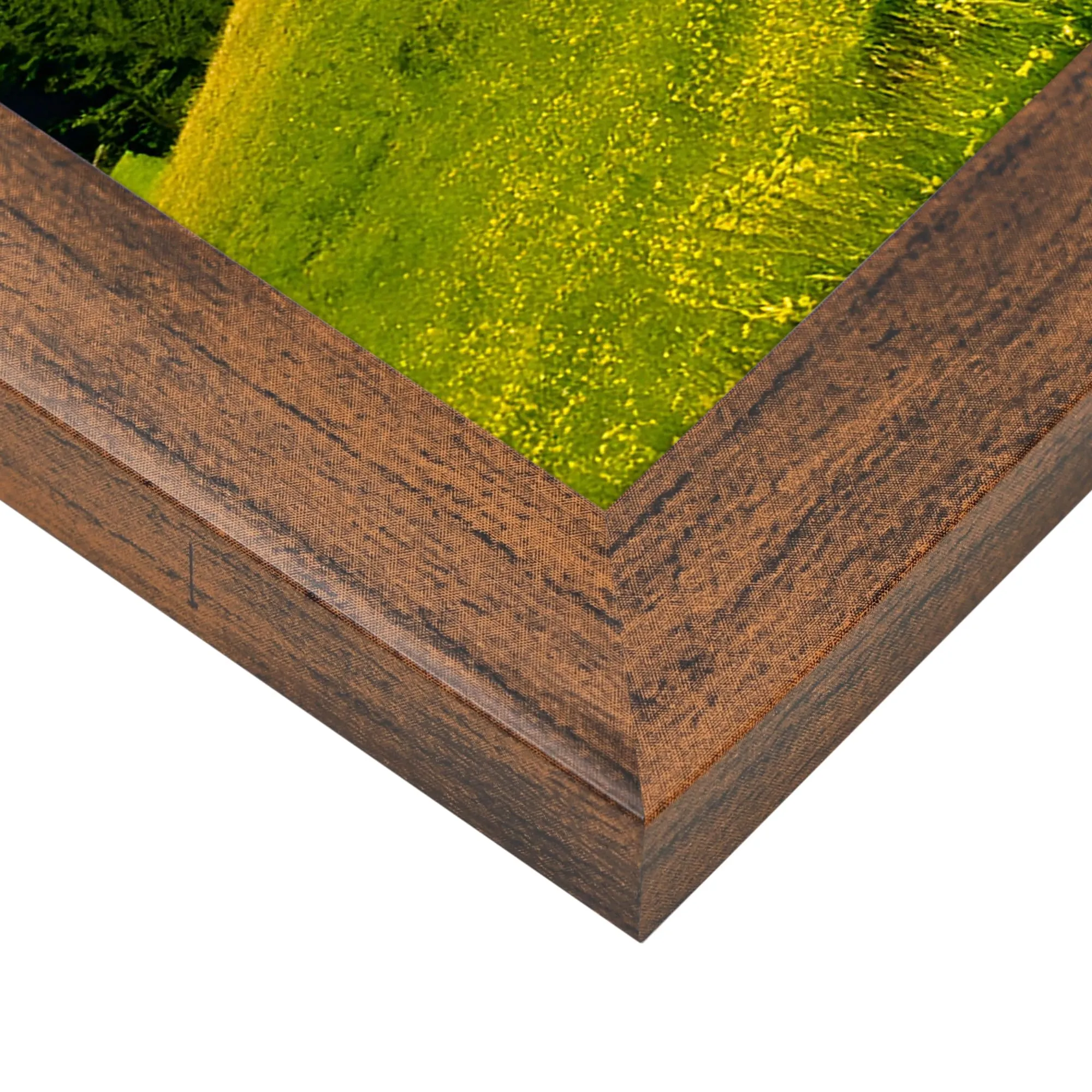Ditwis Cornice 40x50 cm Marrone per Poster, Foto e Opere d'Arte - immagine 6