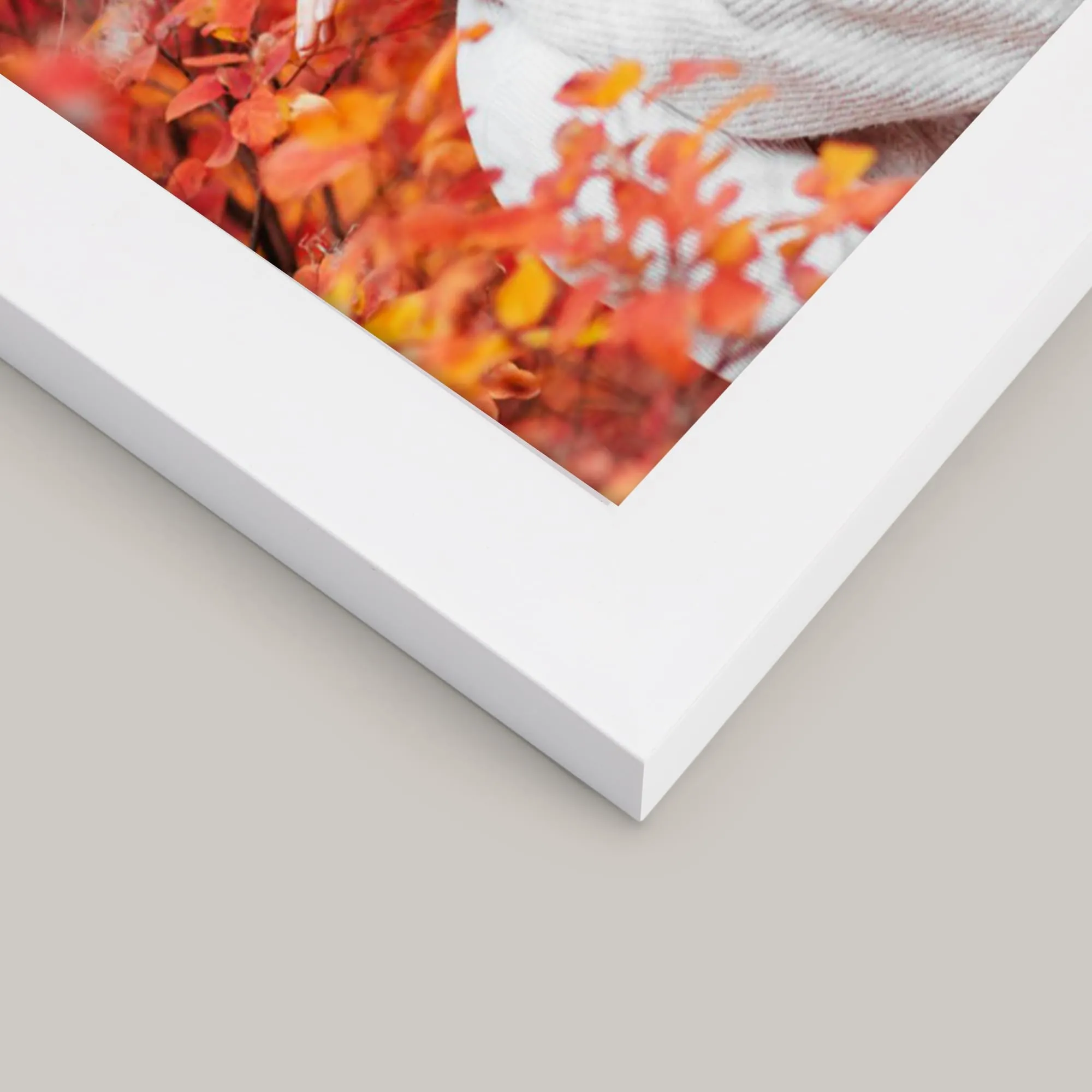Ditwis Cornice Quadrata 15x15 Bianca - immagine 7