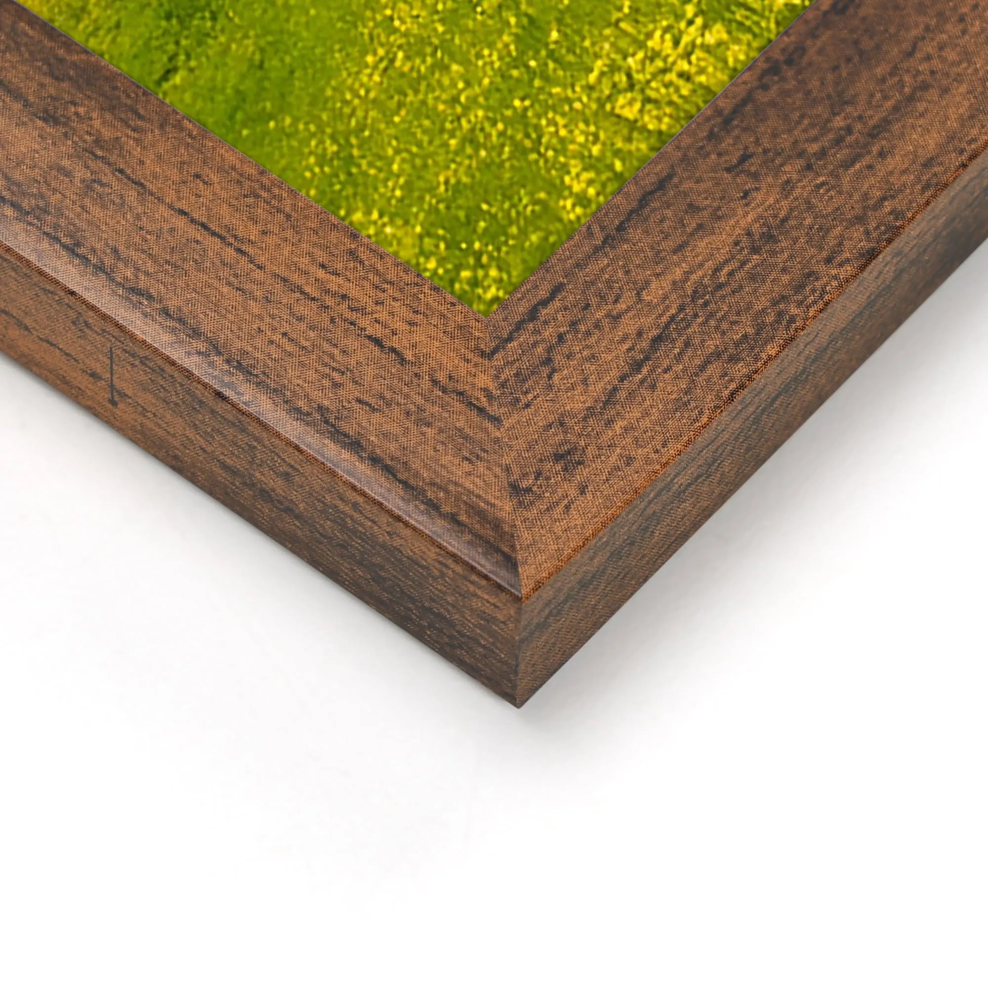 Ditwis Cornice 30x45 cm Marrone per Poster, Foto e Opere d'Arte - immagine 8