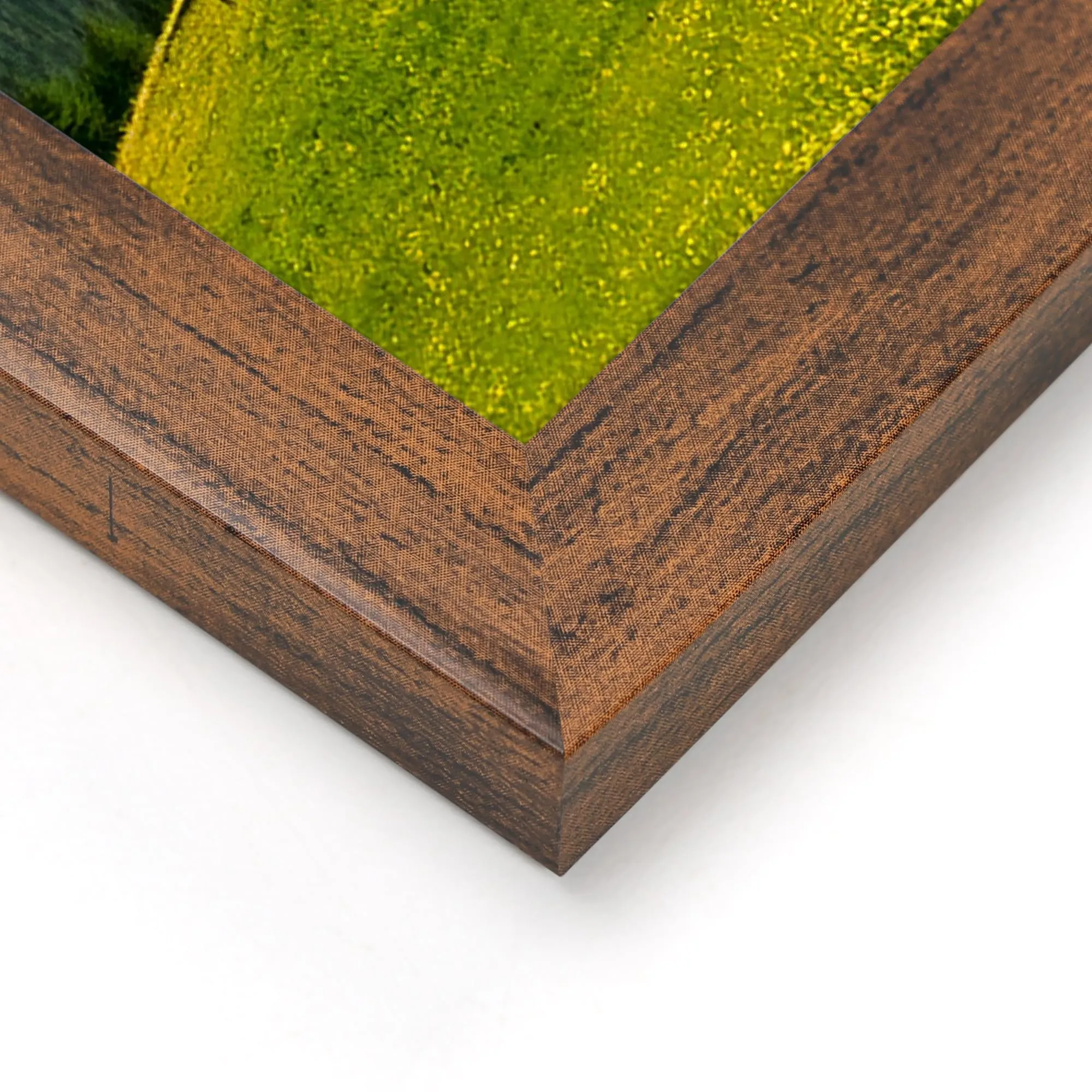 Ditwis Cornice 30x40 cm Marrone per Poster, Foto e Opere d'Arte - immagine 7