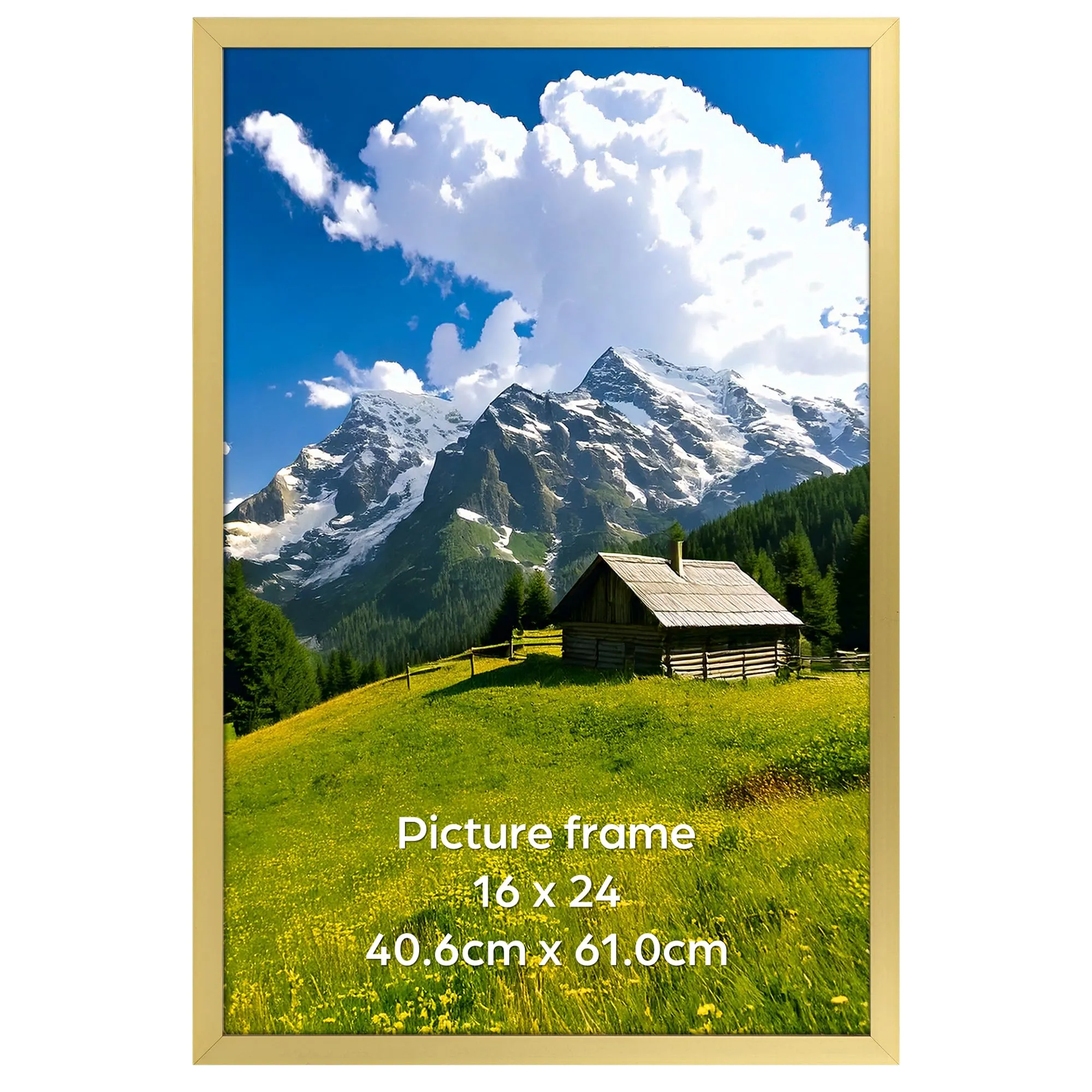 Ditwis Cornice in Alluminio Oro 40x60 cm per Poster, Foto e Opere d'Arte - immagine 9