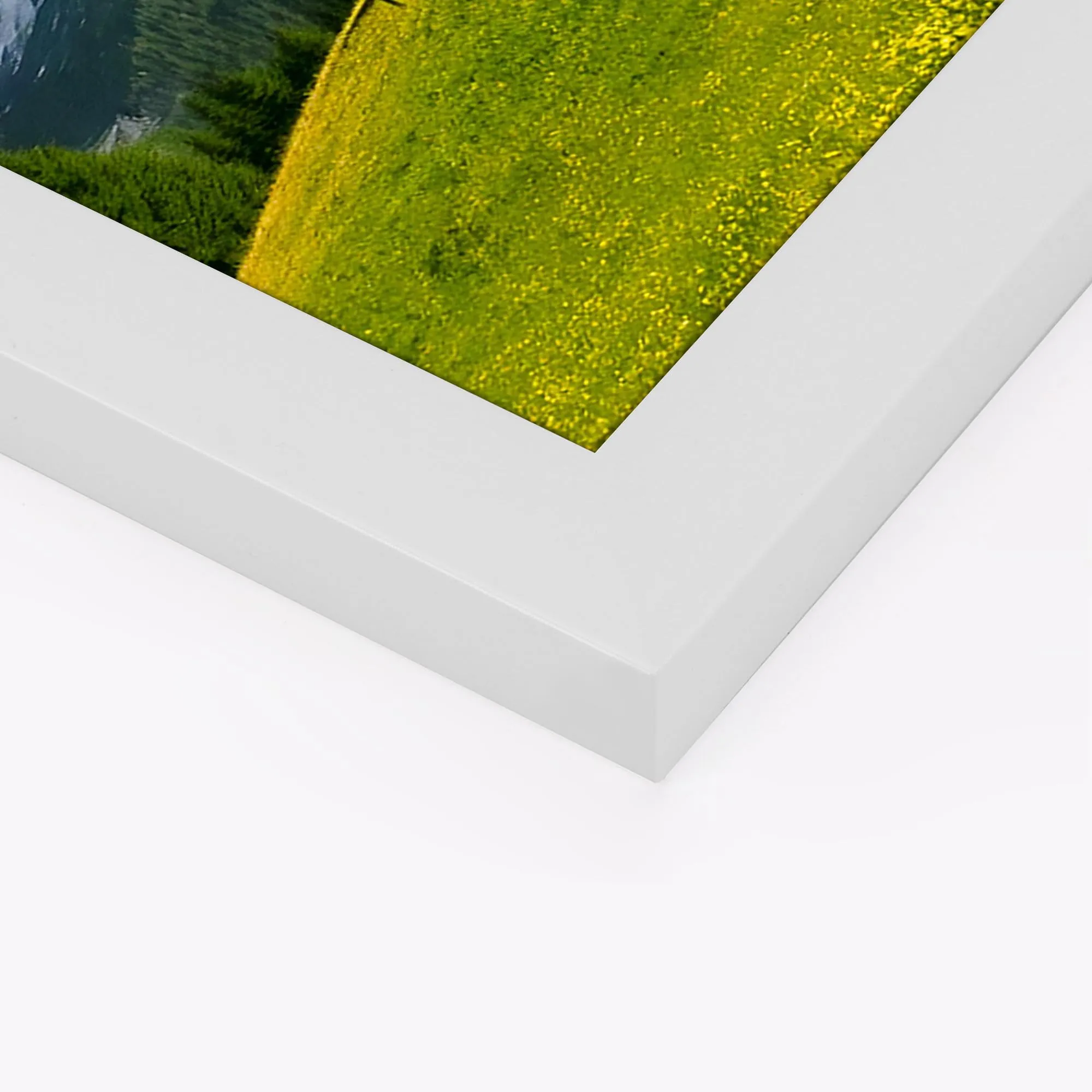 Ditwis Cornice Bianca 40x50 cm per Poster, Foto e Opere d'Arte - immagine 6