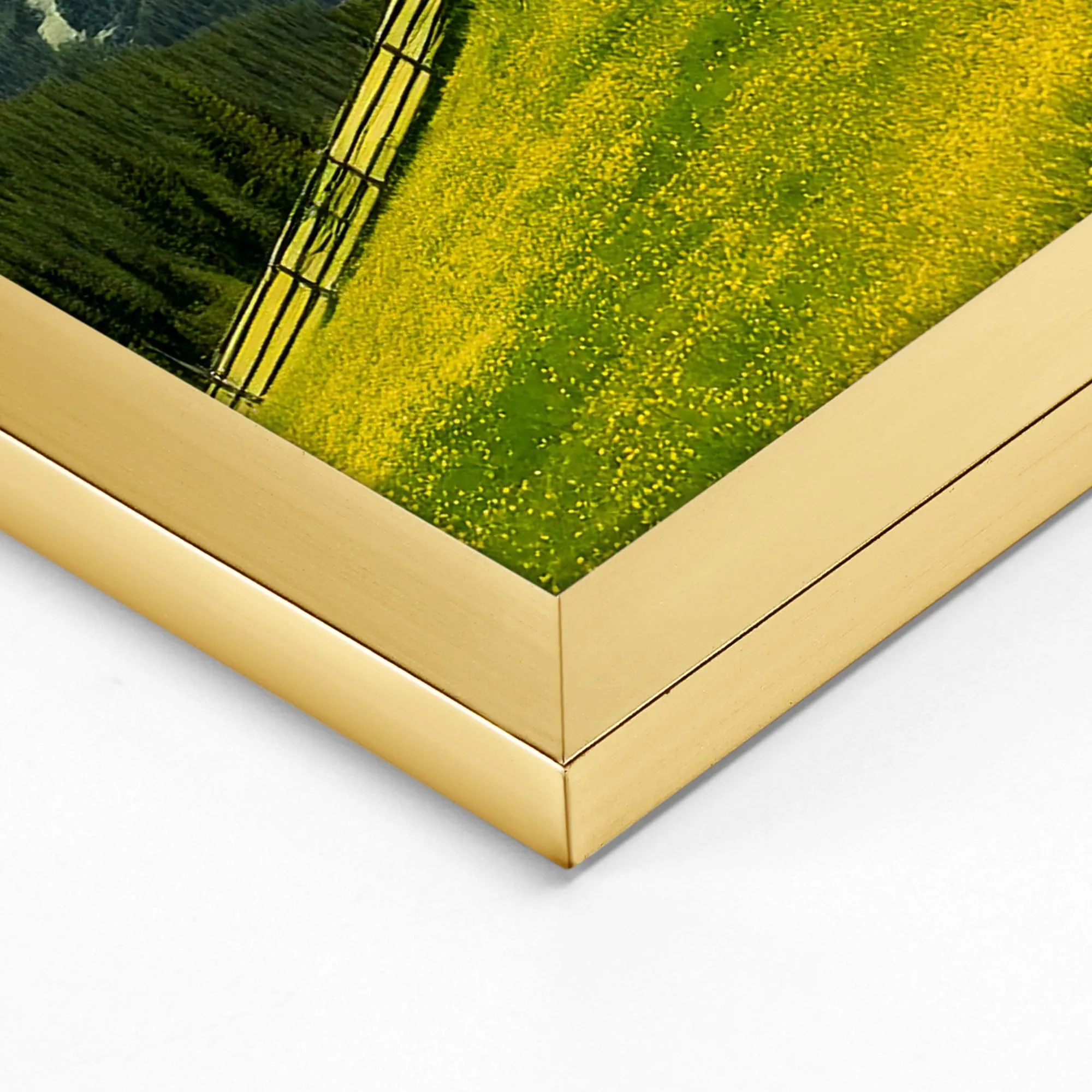 Ditwis Cornice 40x50 cm Oro per Poster, Foto e Opere d'Arte - immagine 6