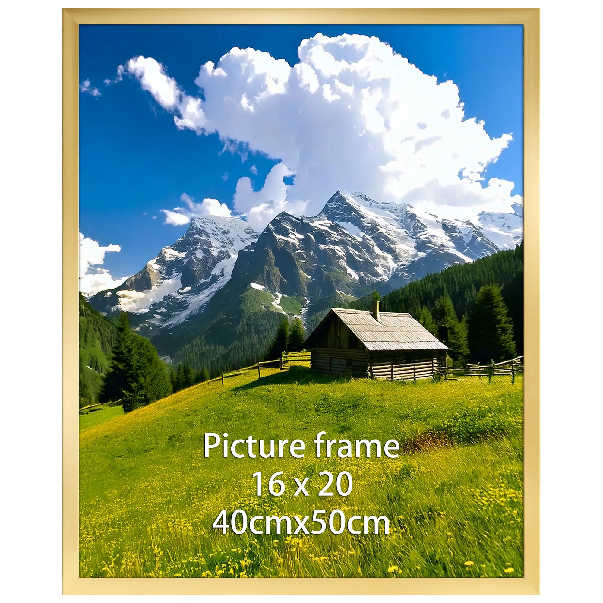 Ditwis Cornice 40x50 cm Oro per Poster, Foto e Opere d'Arte - immagine 8