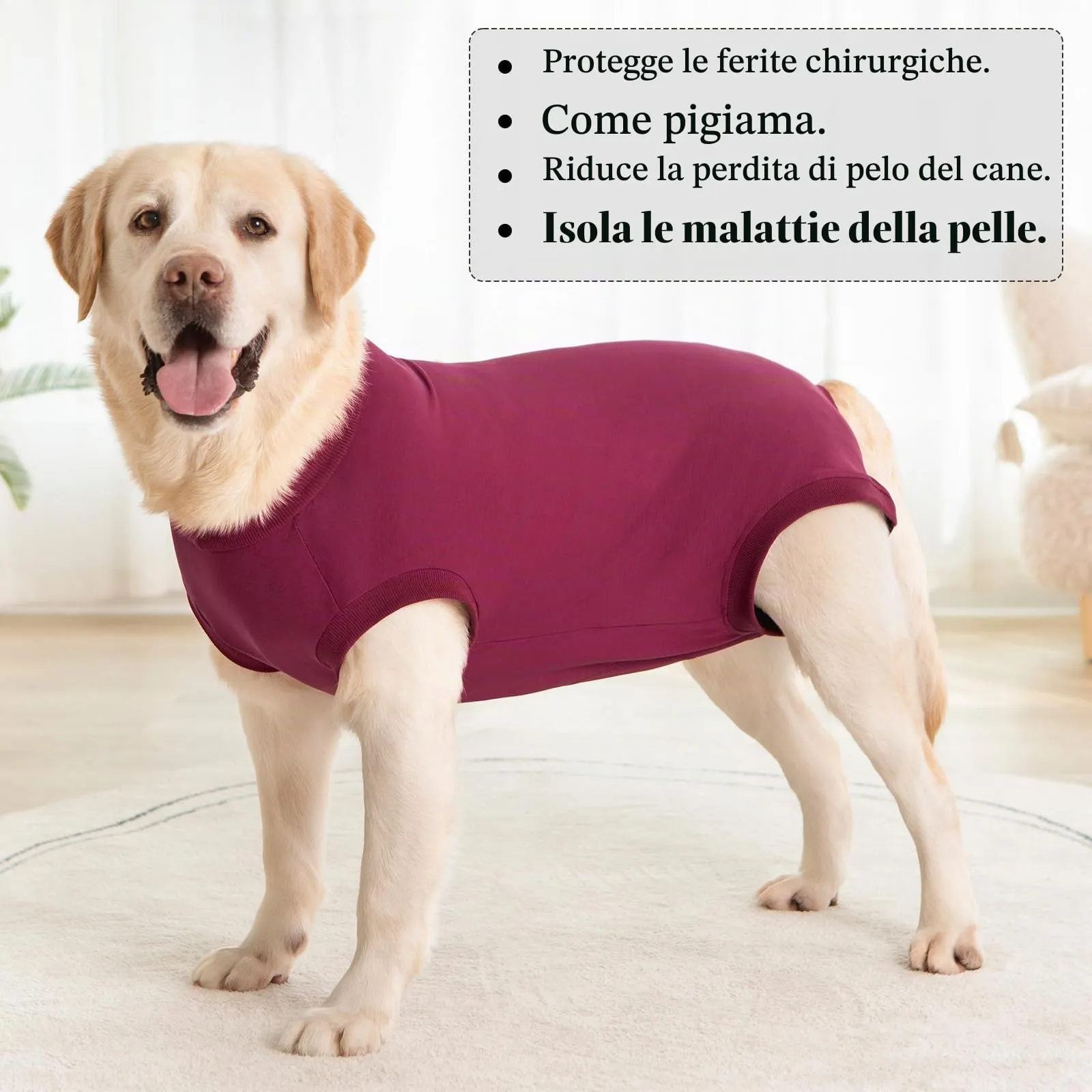 Cyponpy Body Post Operatorio per Cani Maschio e Femmina, Tuta da Recupero dopo Sterilizzazione, Fascia Addominale e Pigiama Chirurgico, 3XL, Rosso - immagine 7