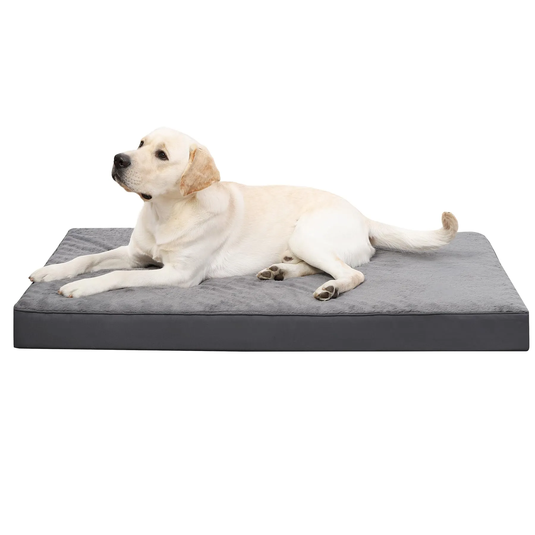 KSIIA Cuccia Ortopedica per Cani, Cuscino Taglia Grande 91x68cm - immagine 1
